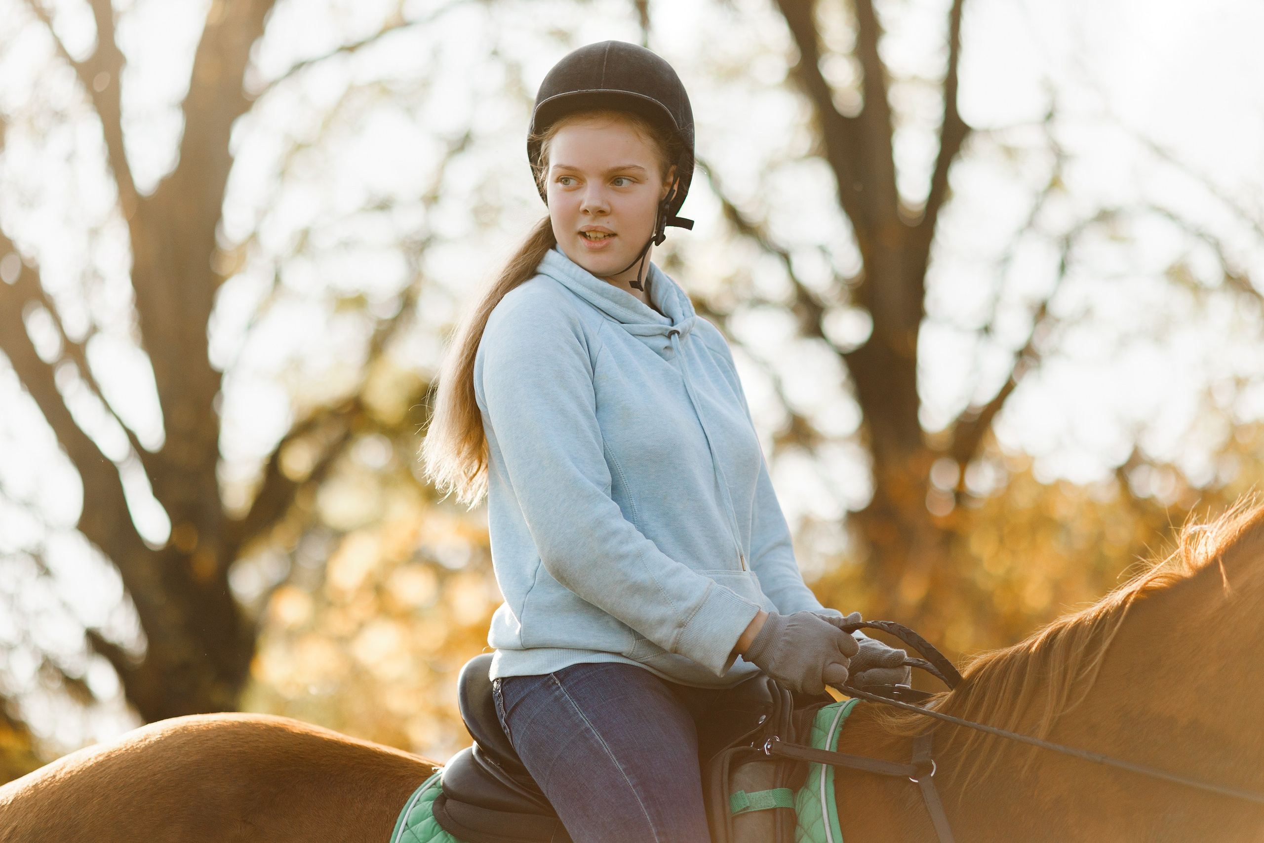 Autumn equestrian training. Kaja | fotograf psów we Wrocławiu