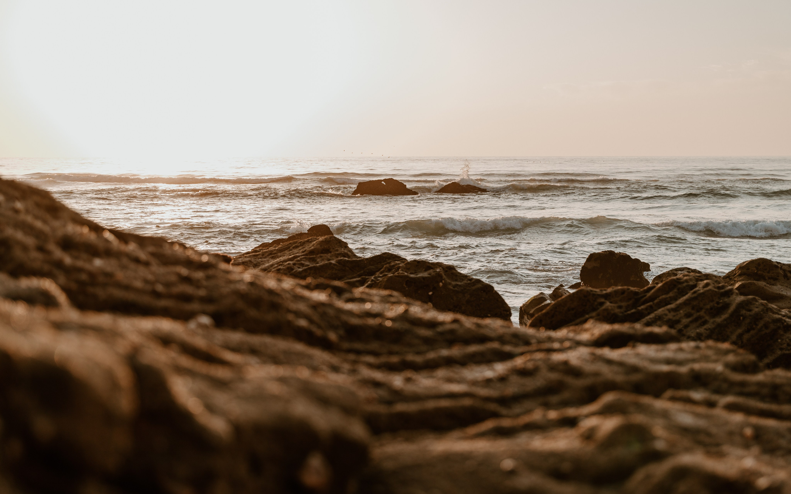 Galeria e Filme de Casamento — Sara e Luis — Quinta Júlia dos Ovos. Fotografia e Filmes de Casamento de Luxo | Portugal & Destination Weddings | Ricardo & Mary Pictures