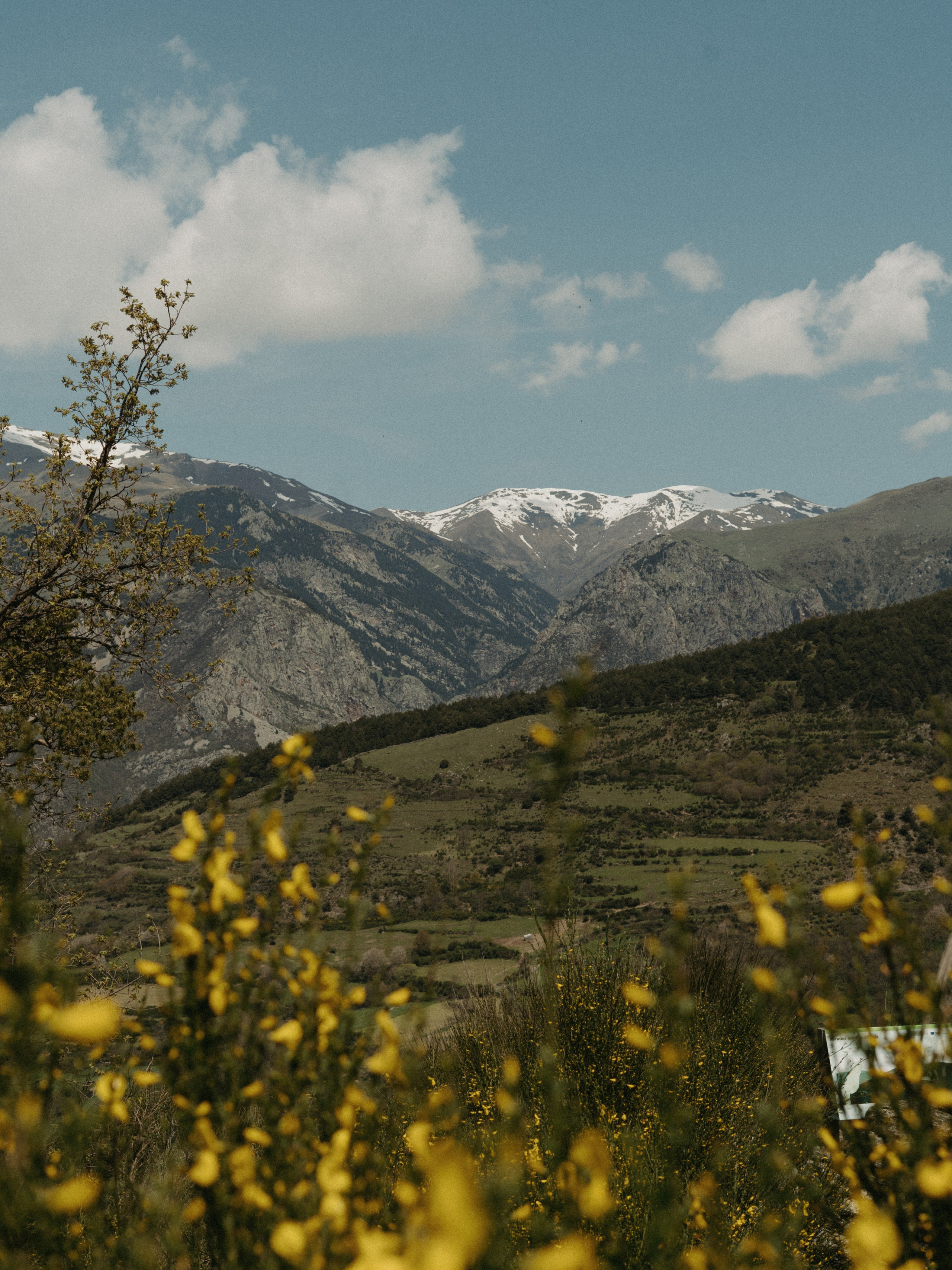 Galeria. Creador de contenido visual en Barcelona | Dima Kit