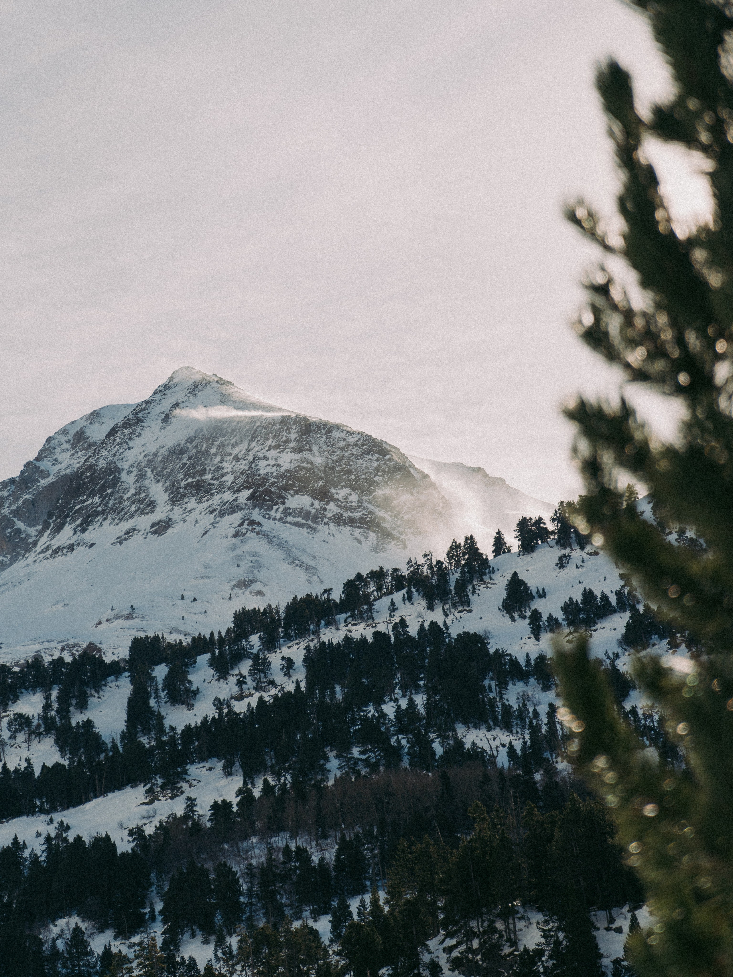 Frames between steps. Creador de contenido visual en Barcelona | Dima Kit