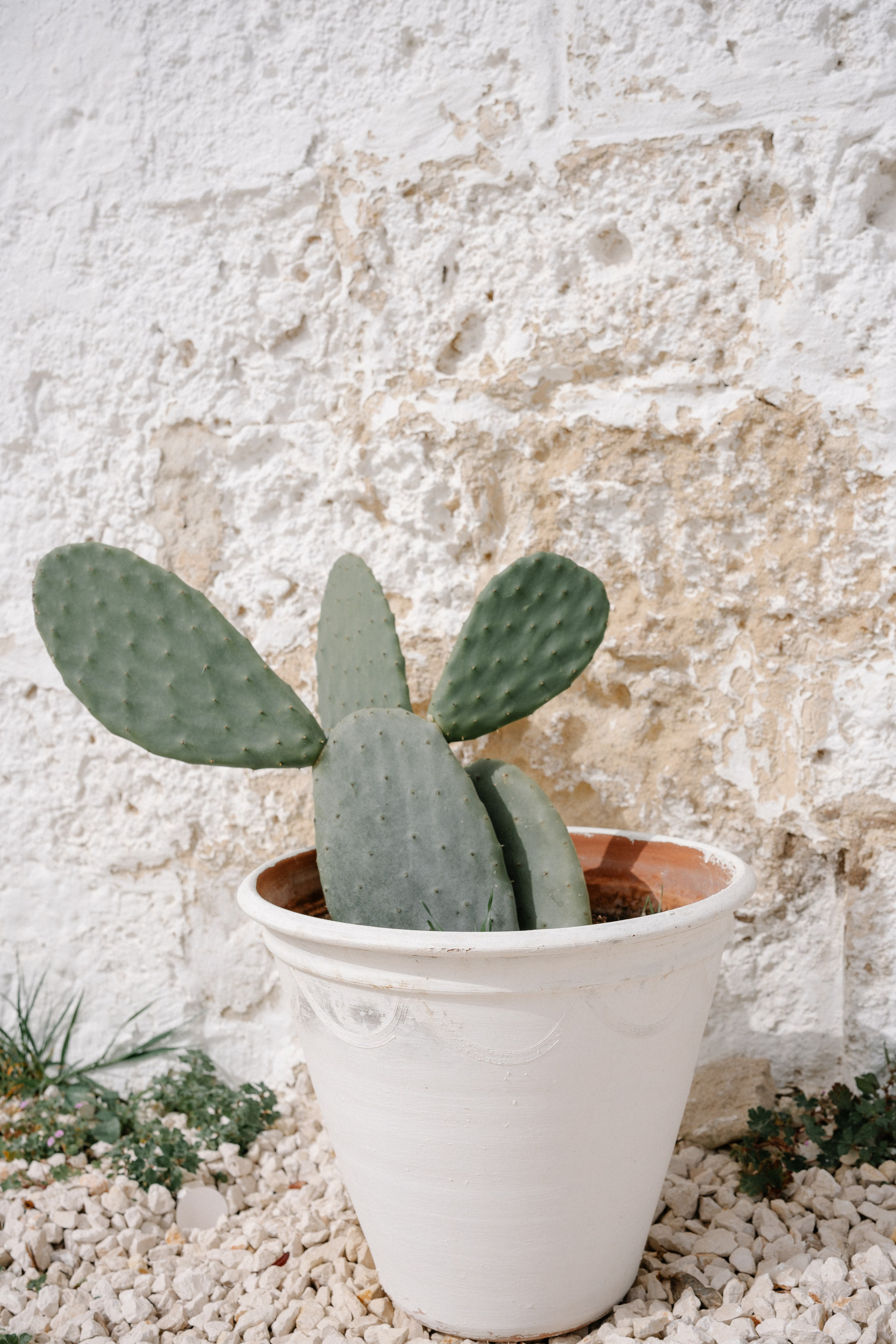 Alyssa&Sean. Wedding photographer Italy