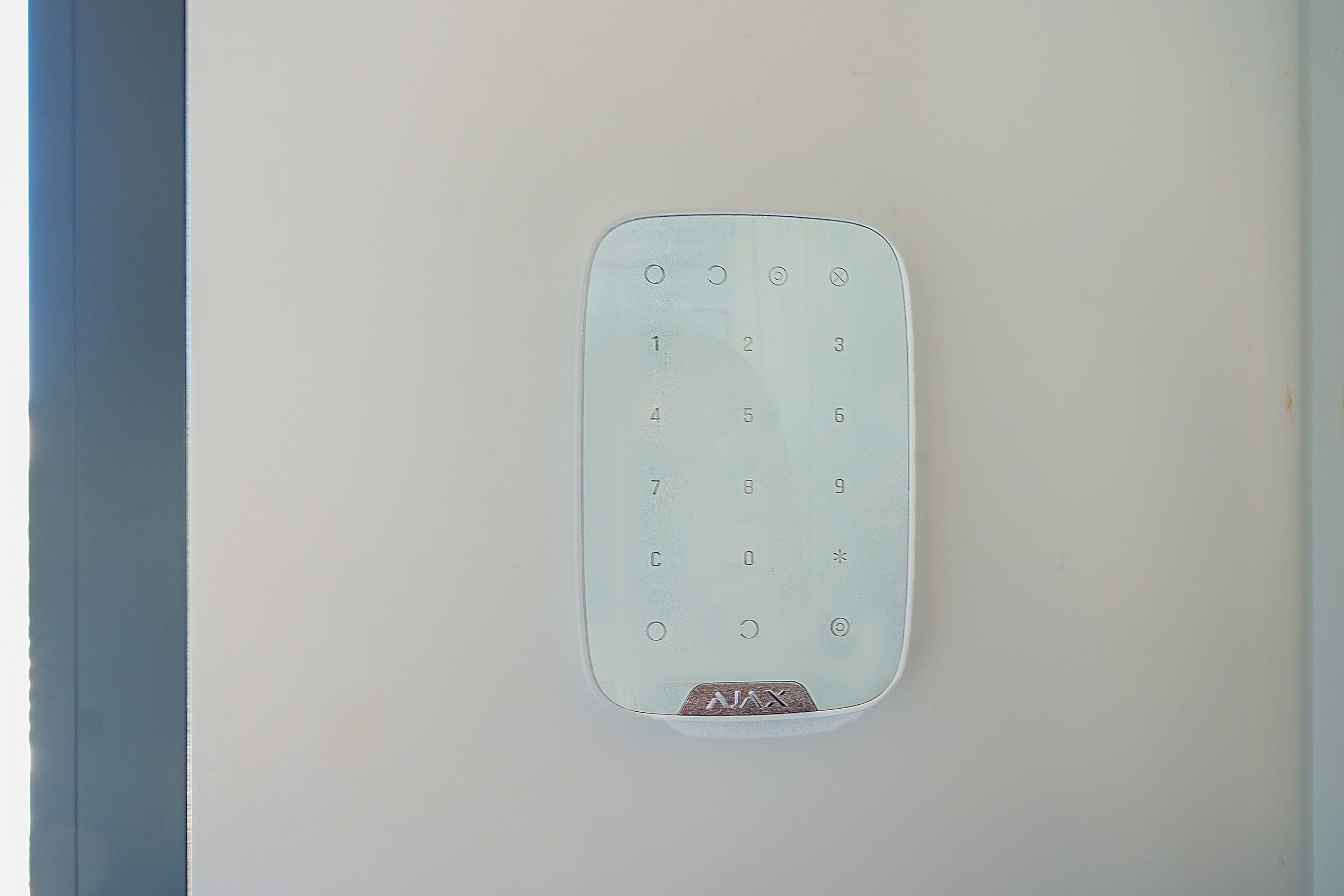 Ginetiškės, Pakonių g. Elina Sapiega fotografė Vilniuje