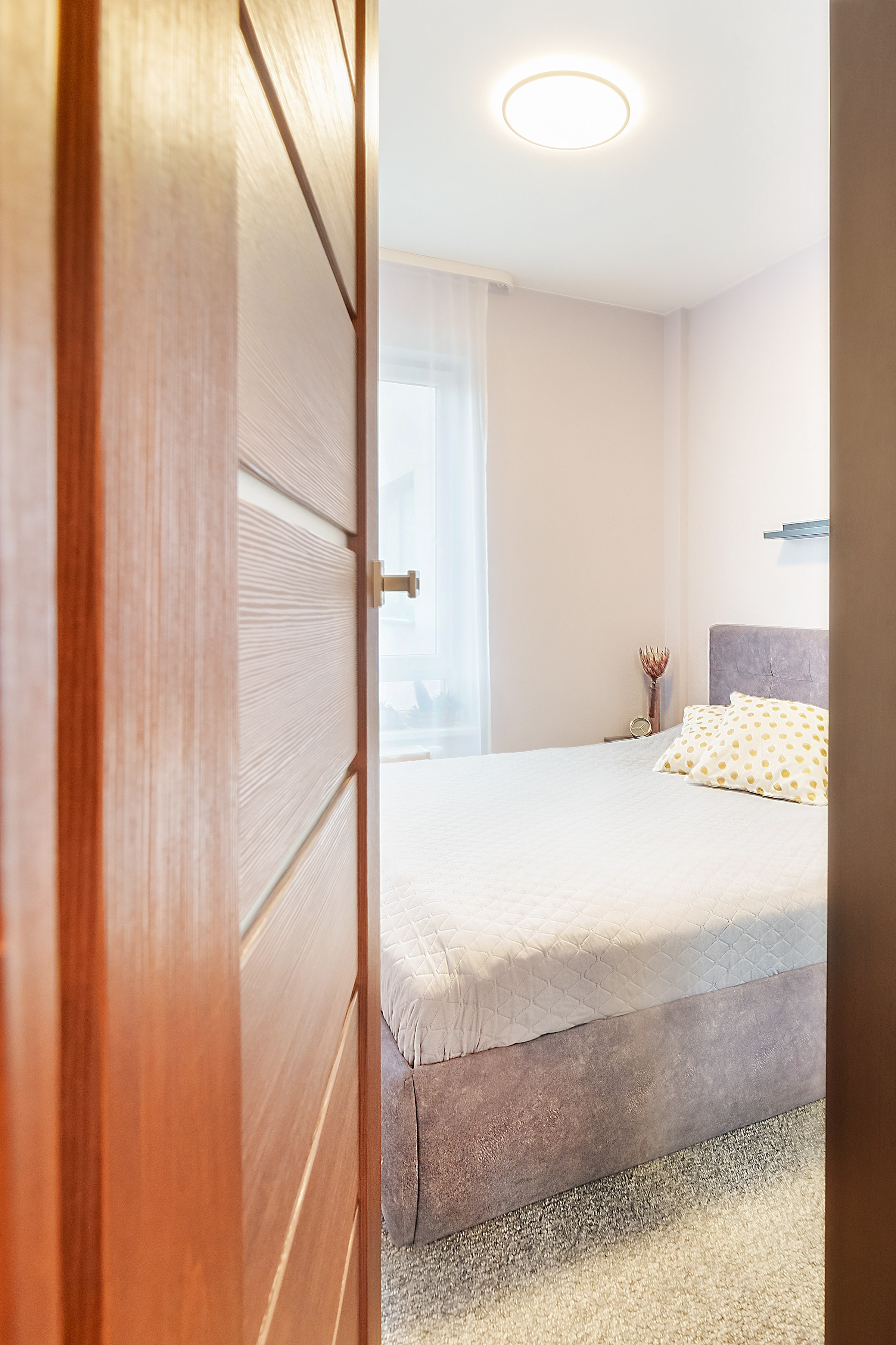 Bajorų kelias 1. Elina Sapiega fotografė Vilniuje