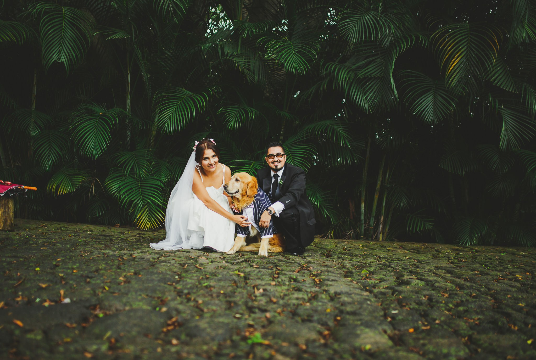 Sofi & Fer. Wedding and family photographer in Mexico City