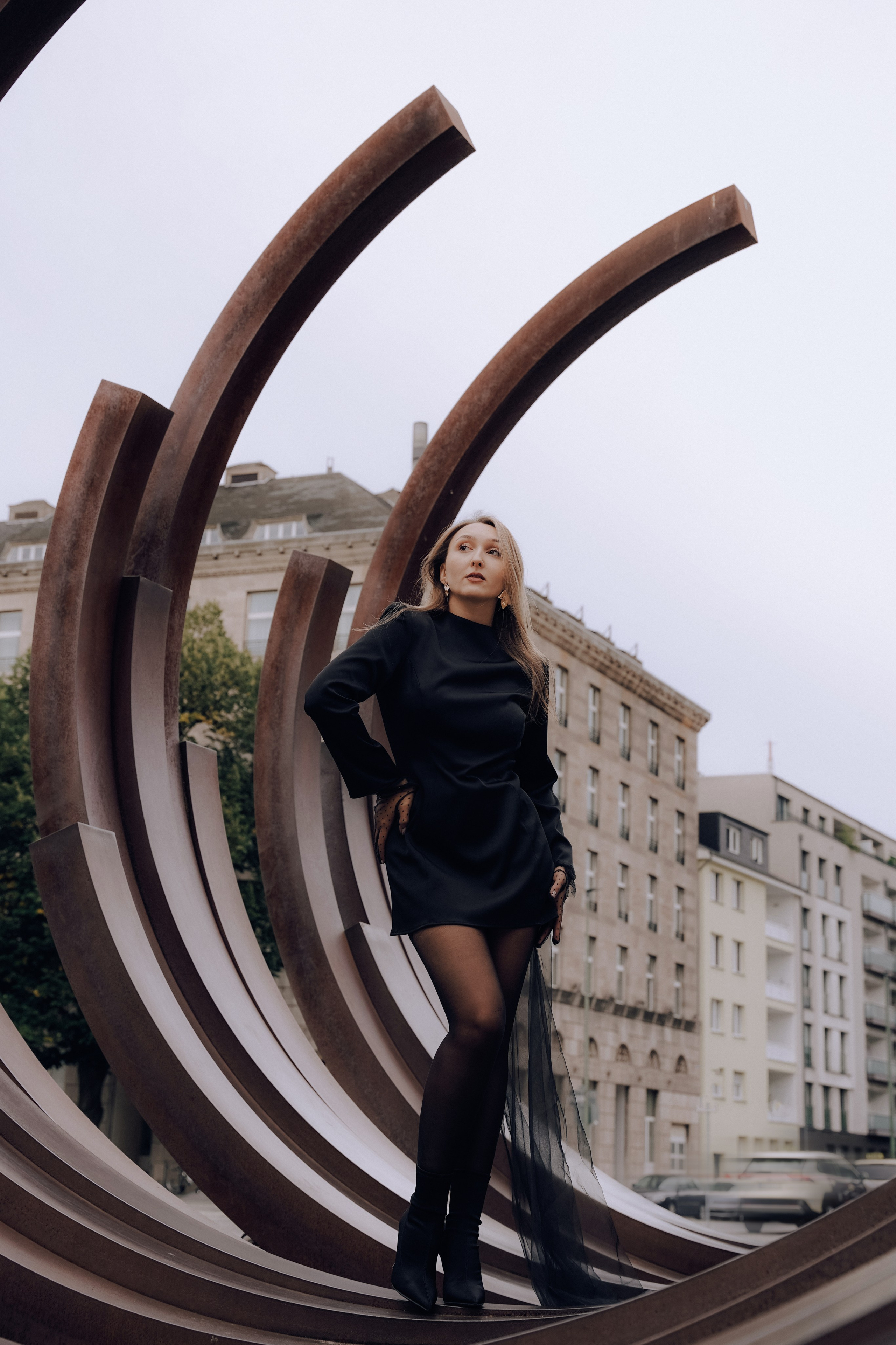 Duisburg schwarzer Schwan. Photograf NRW