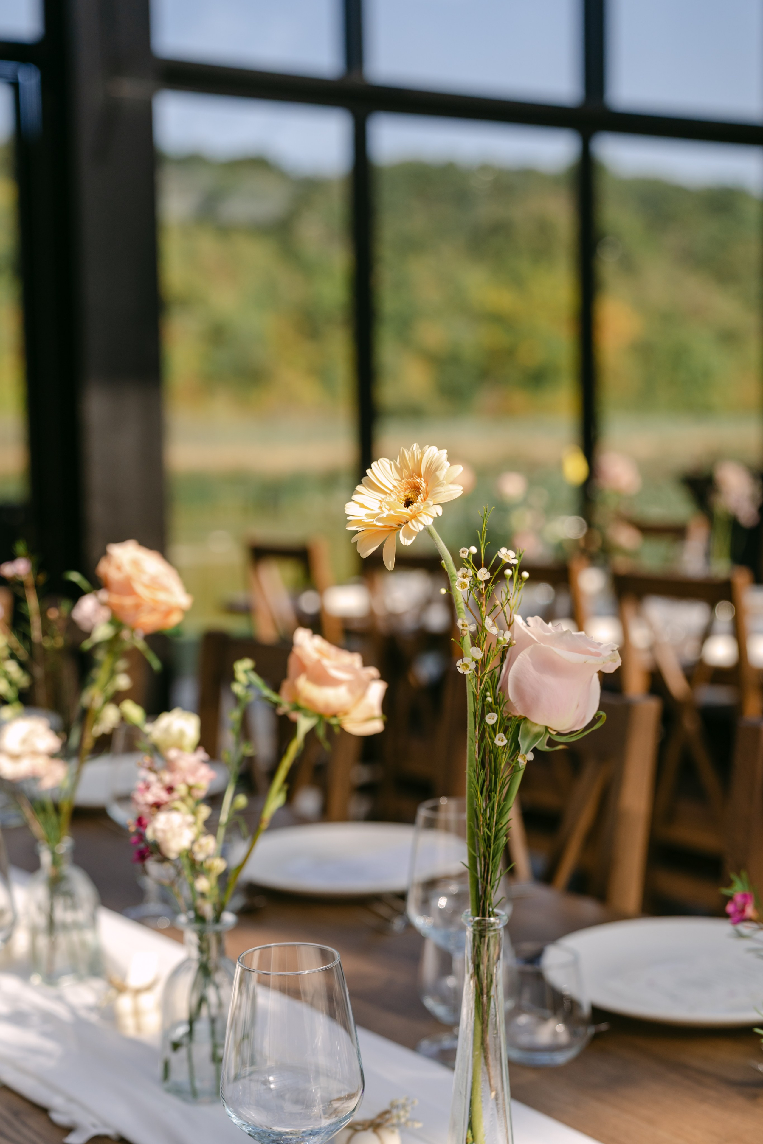 Analisa | Constantin. Gabrielacojocariu.com