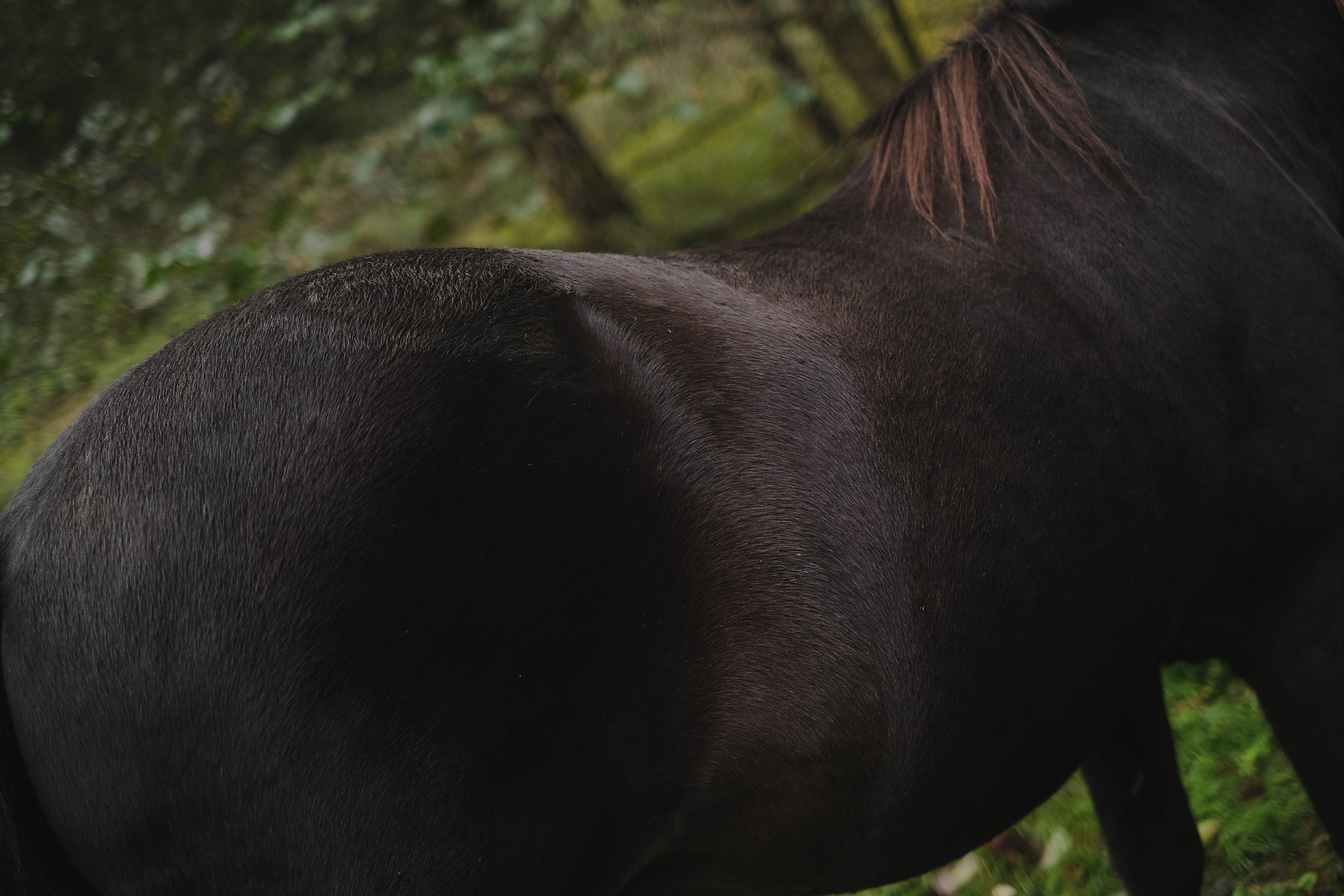 Paula, Fynn&Steve. Authentische Familienfotografie in Köln
