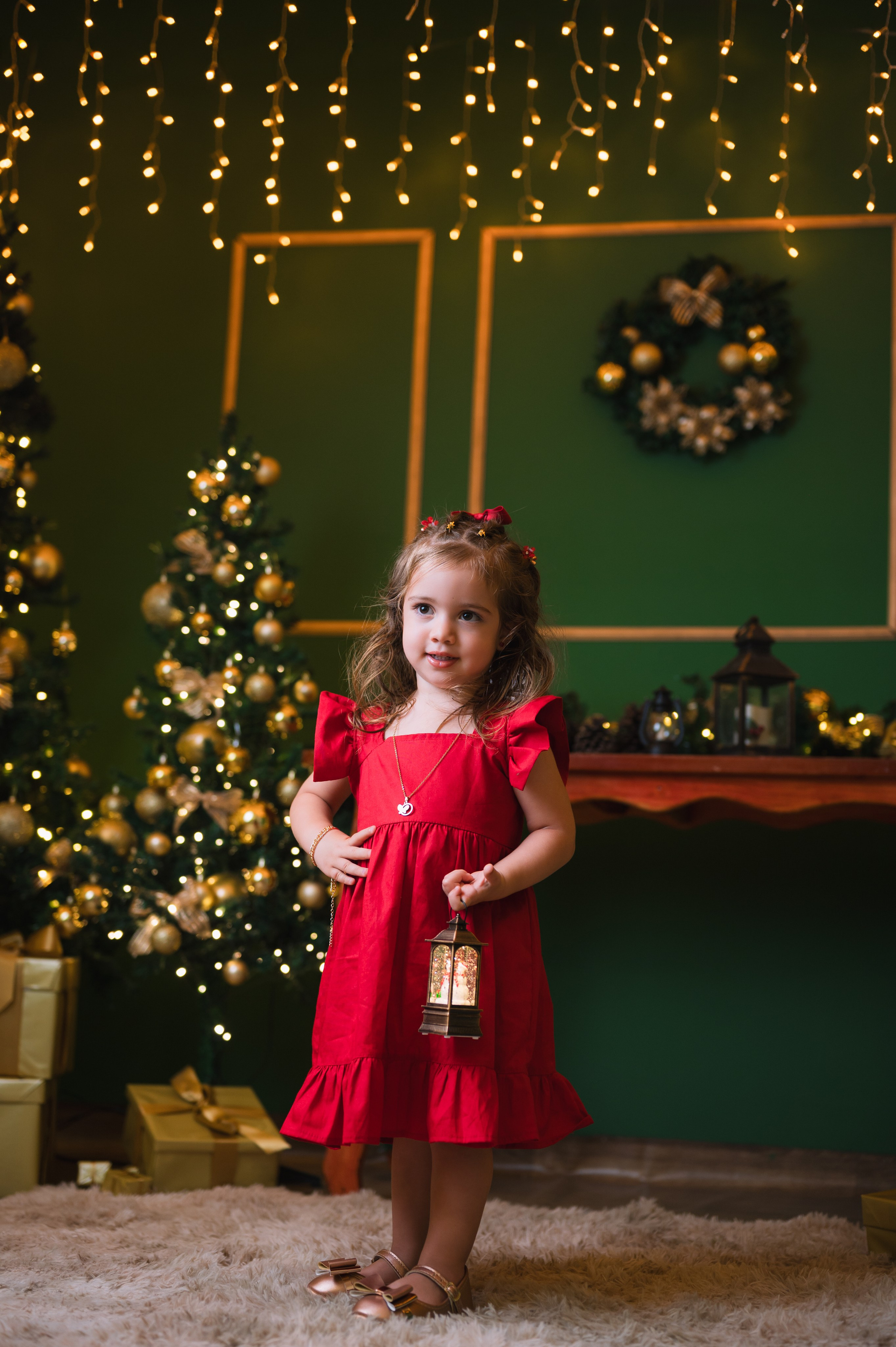 Datas Comemorativas. Fotografamos famílias, gestantes, bebês e ensaios individuais