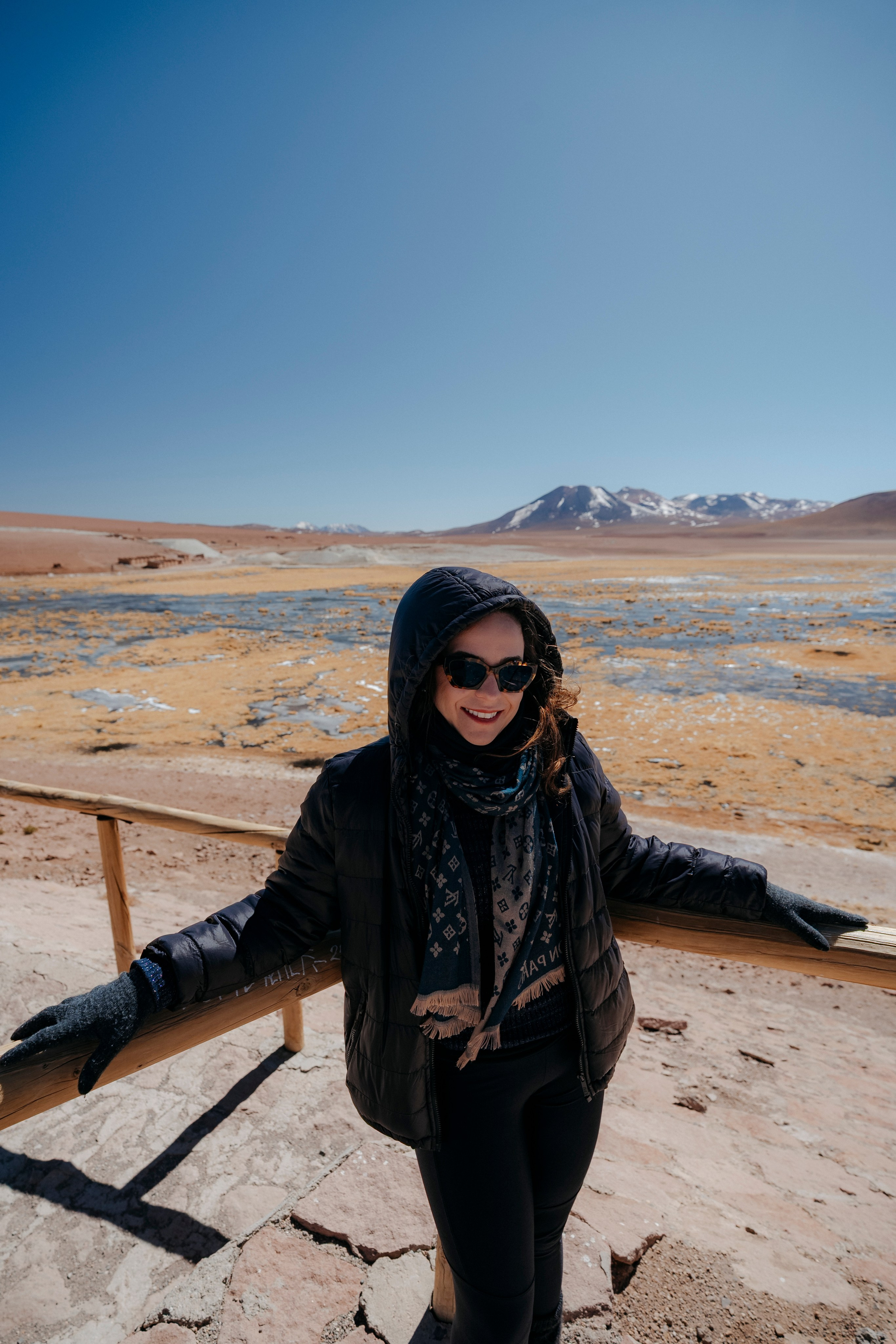 Geyser El Tatio (cobertura en tour privado). Principal