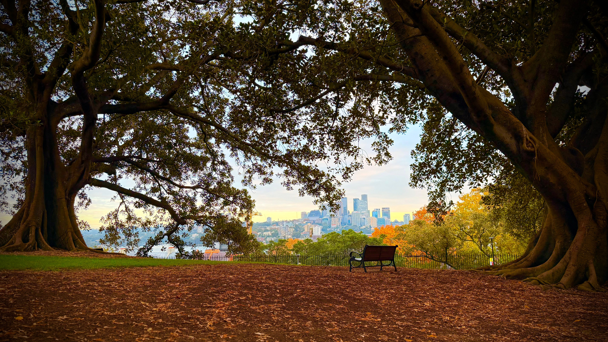WallMuse. MHCreative is family-oriented photographer based in SYDNEY