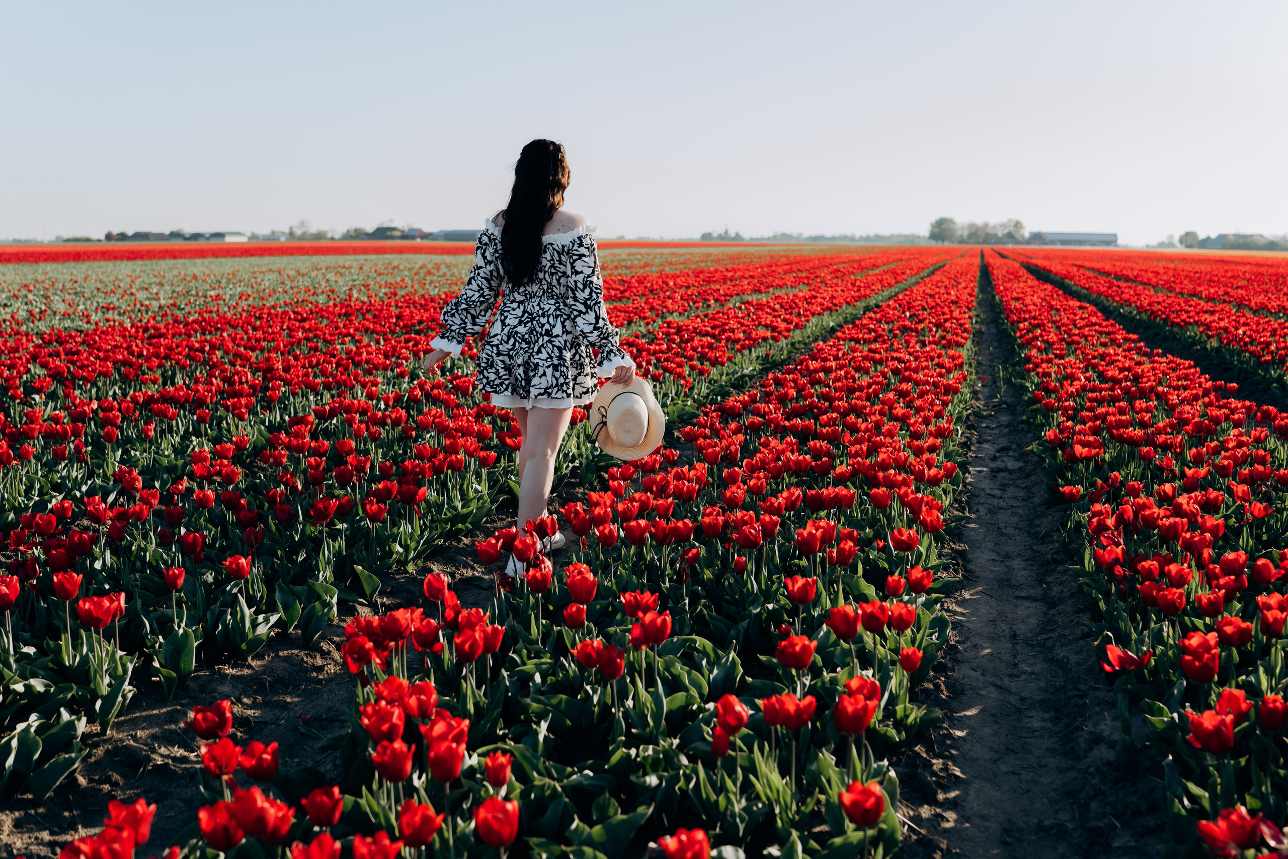 A&S. Photographer Netherlands