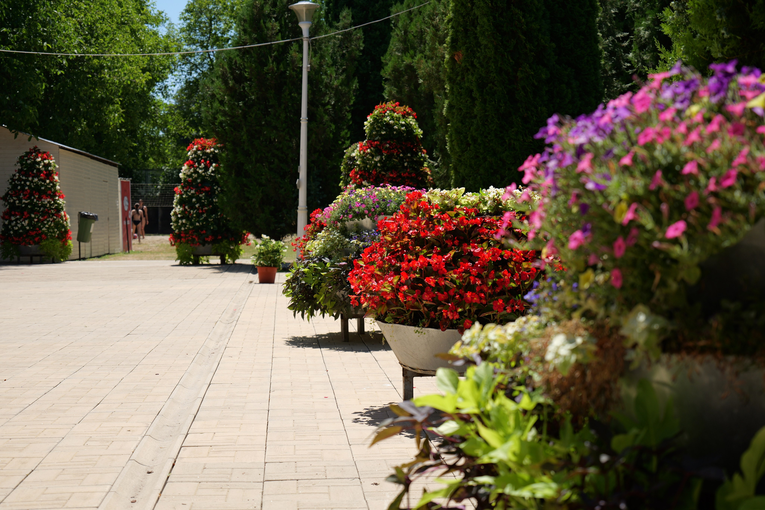 ȘTRAND DEVA — DESCHIDERE. Freesh Media Products