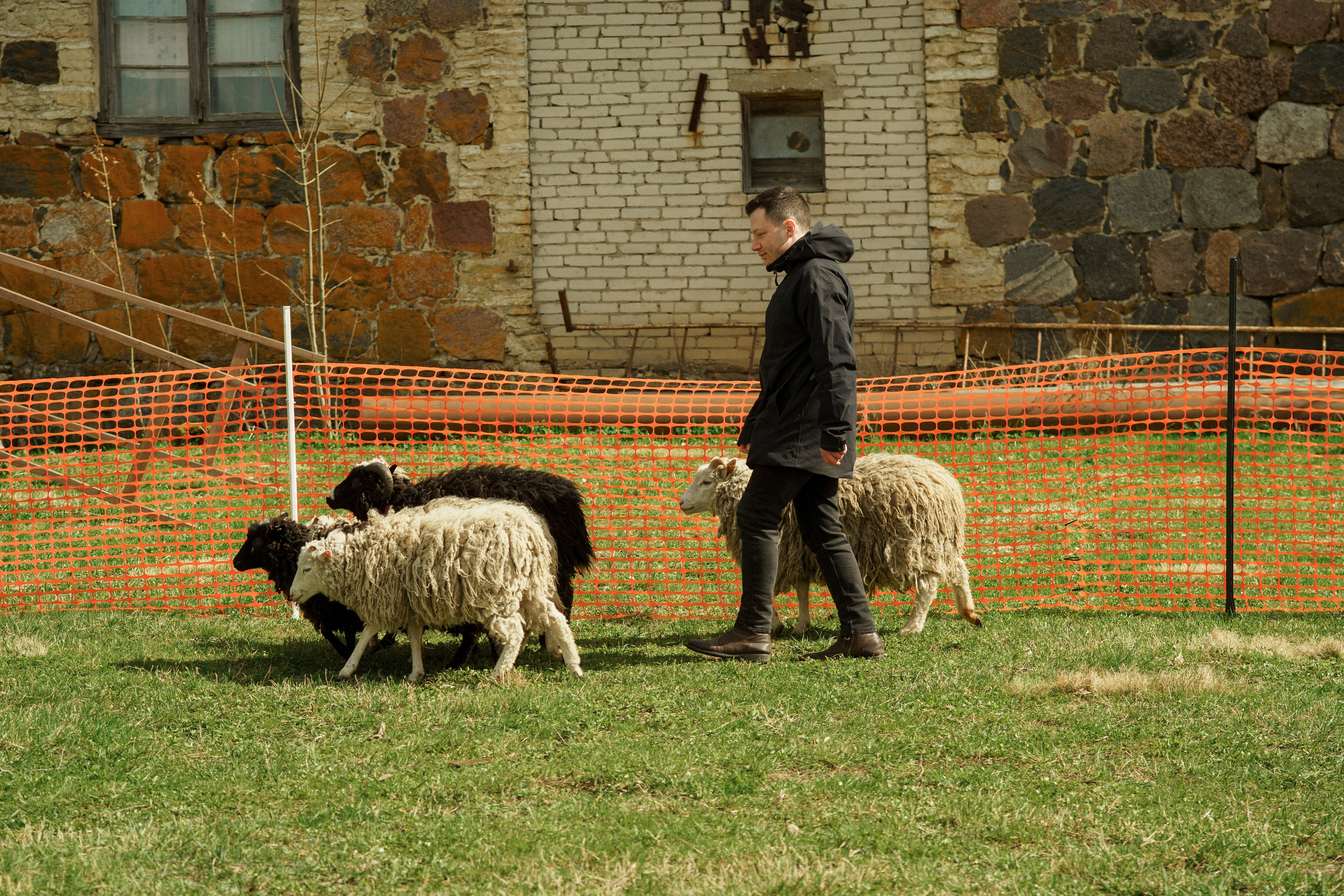 Herding Days, 26 apr. 2025. Kat Laisaar — Pet photographer in Tallinn