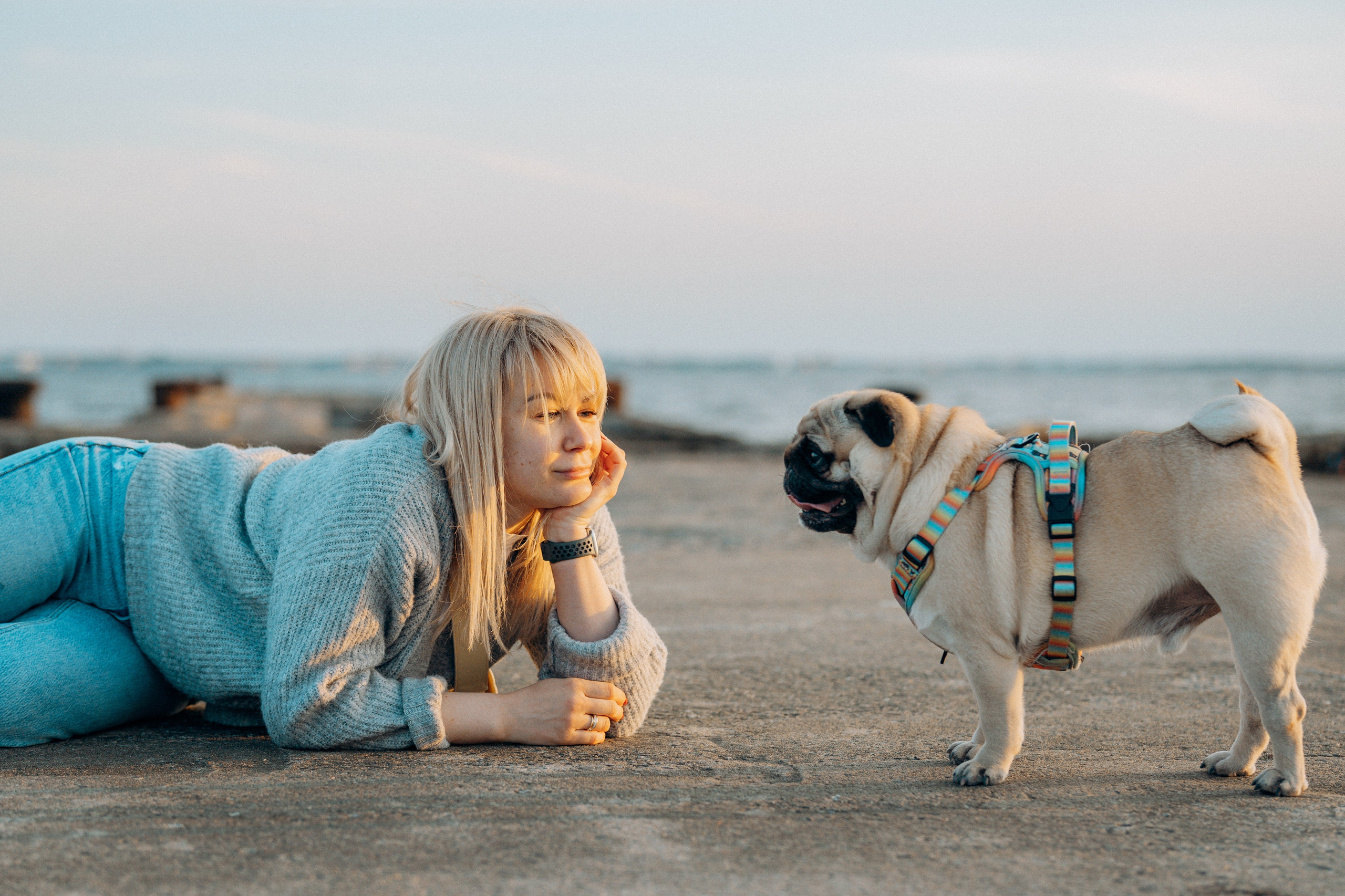 Frank, Tony, Katerina & Lev. Kat Laisaar — Pet photographer in Tallinn