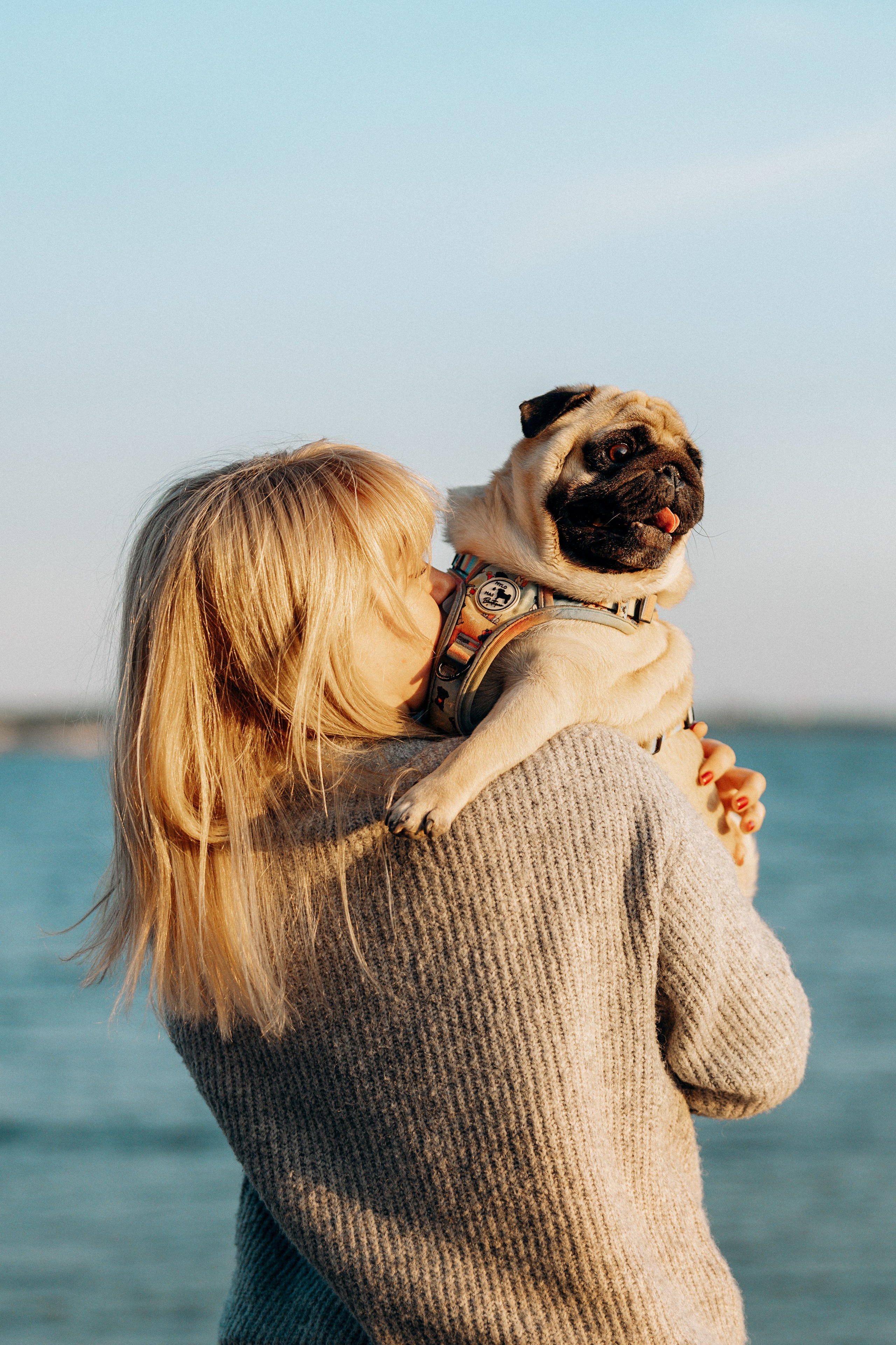 Frank, Tony, Katerina & Lev. Kat Laisaar — Pet photographer in Tallinn