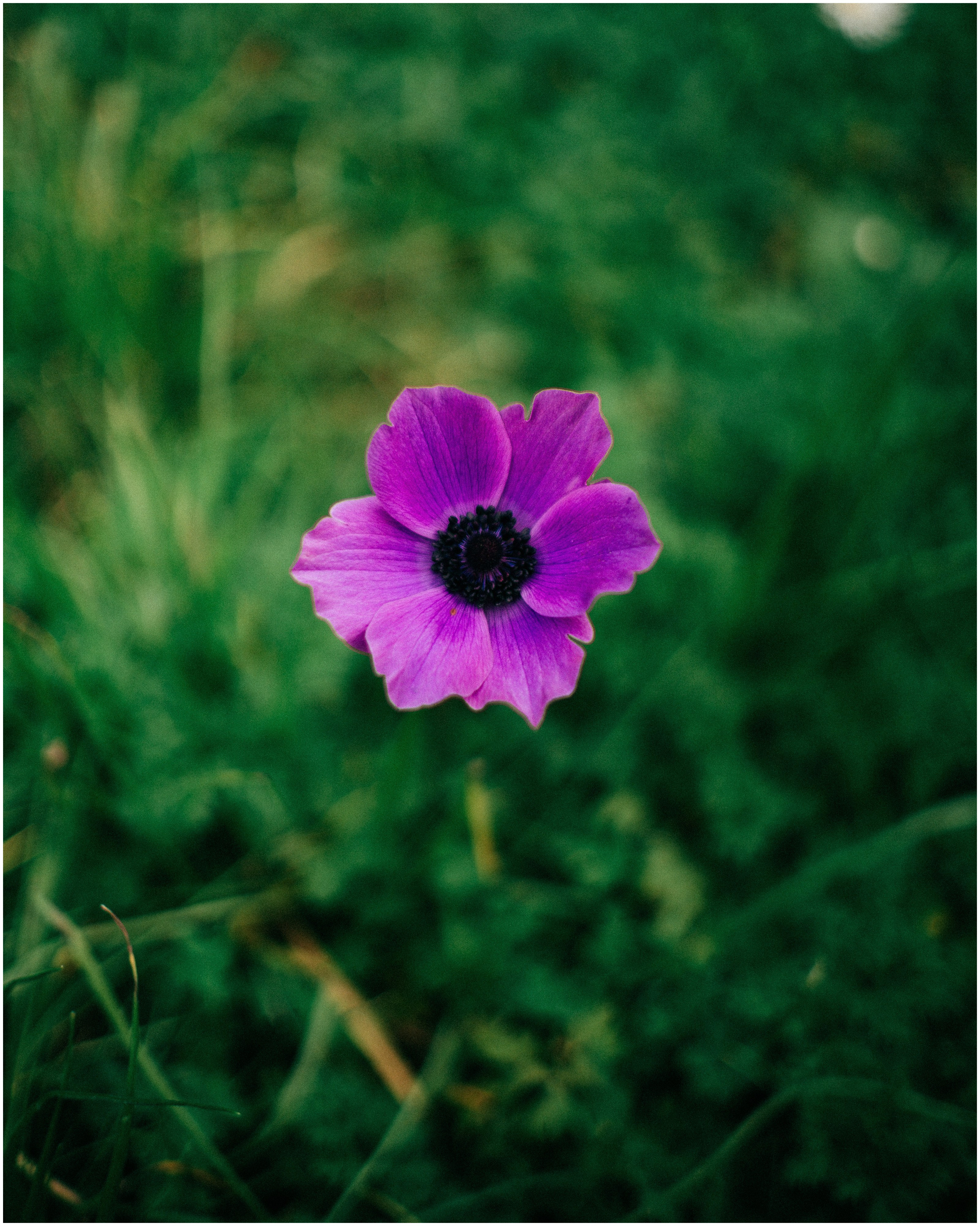 PALERMO. Photographer Inna Mendelson