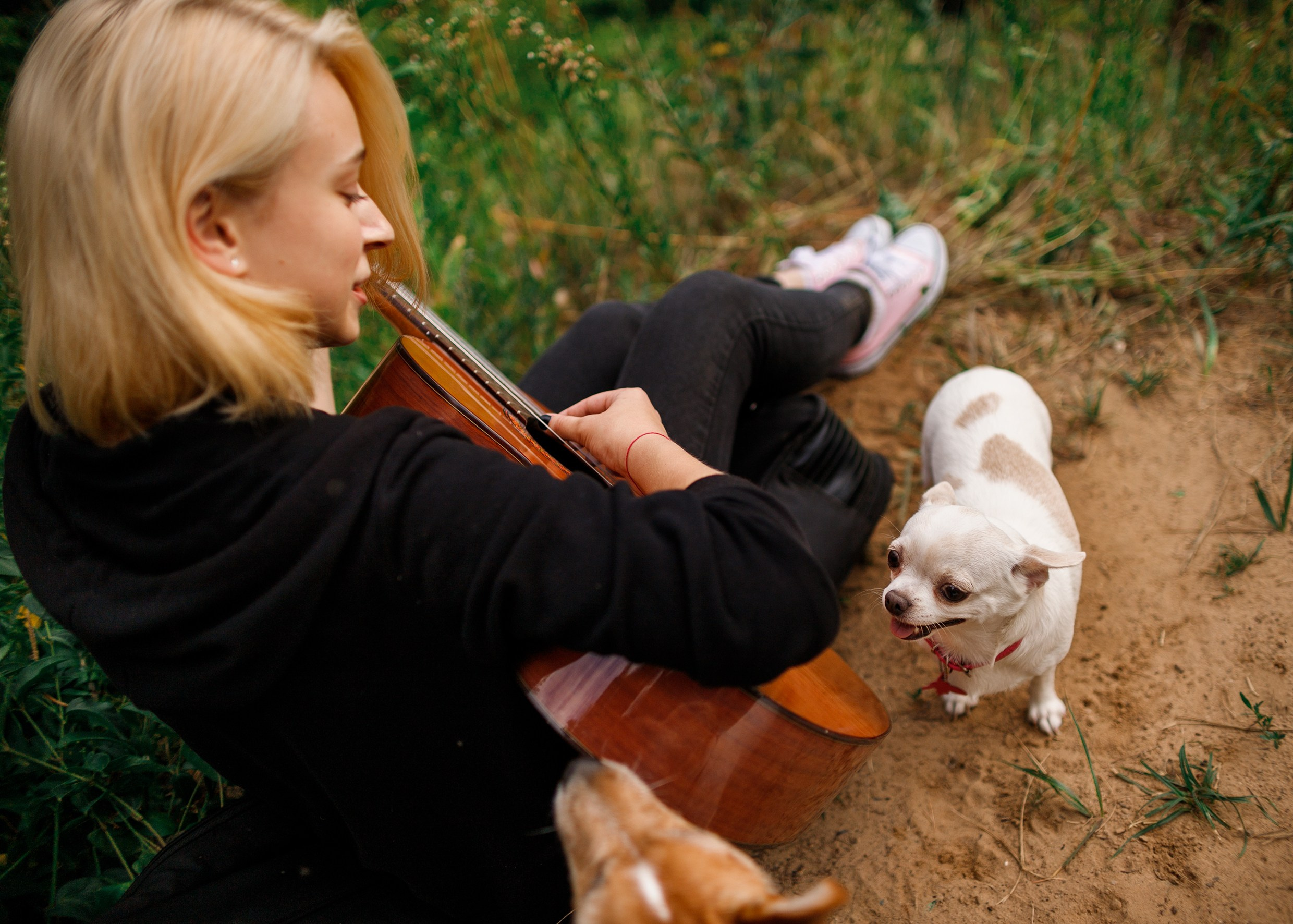 Polina & her chihuahua. Kaja | fotograf we Wrocławiu | ludzie i psy