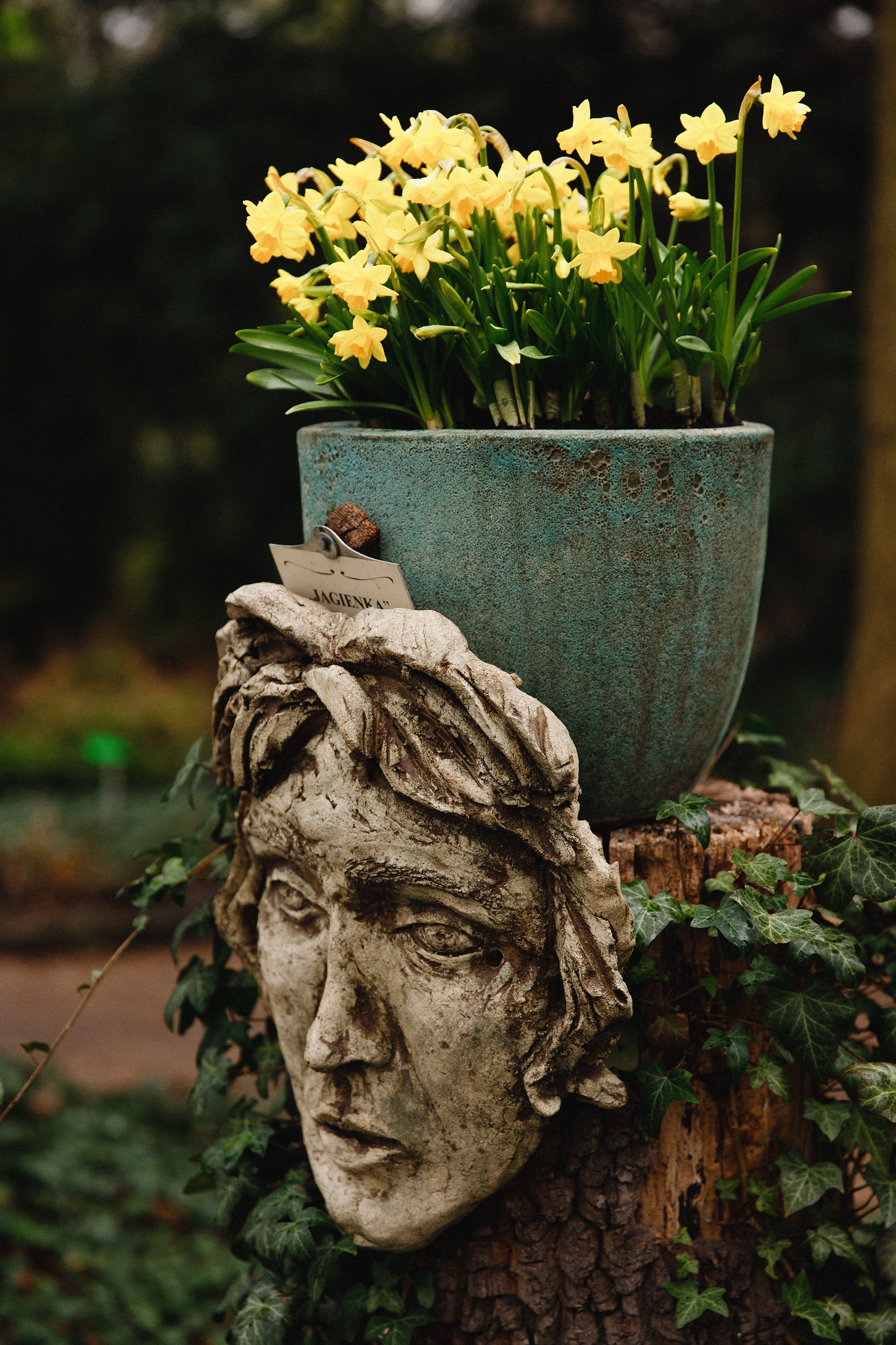 Botanical garden in Wroclaw. Kaja | fotograf we Wrocławiu | ludzie i psy