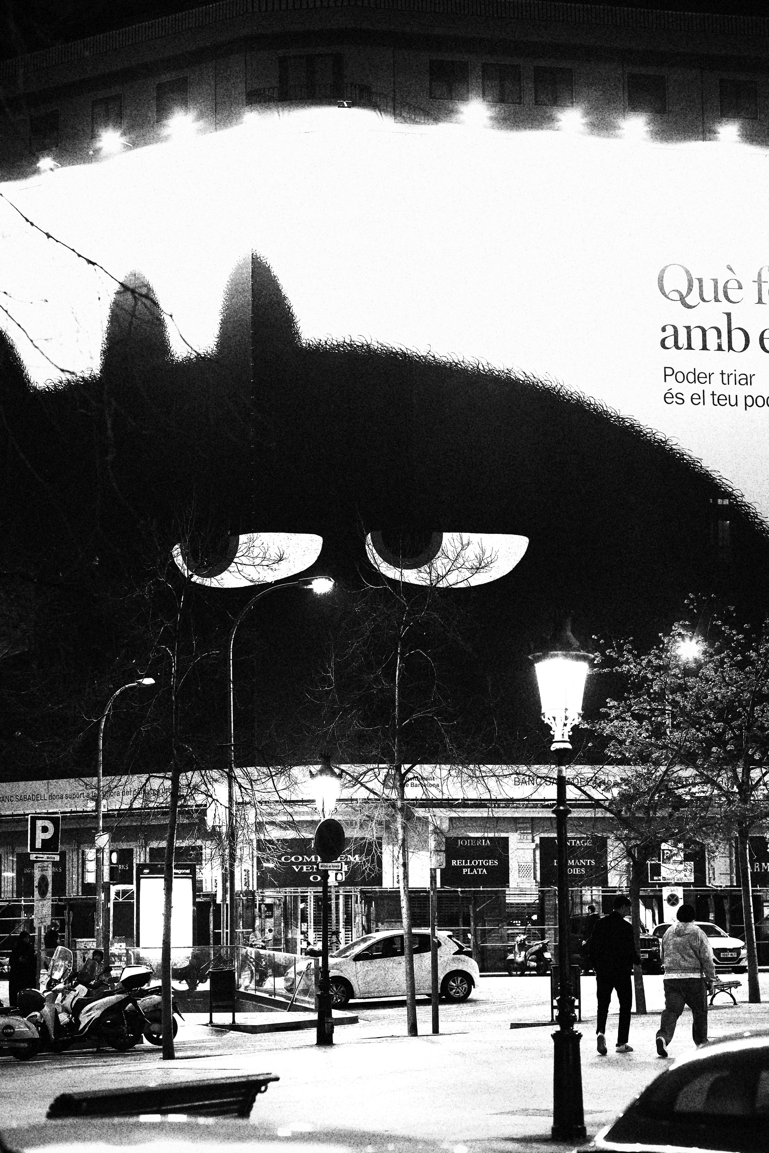 Diario Barcelones (monochrome). Vladislav Makarov. Portrait & Street style photographer in Baku