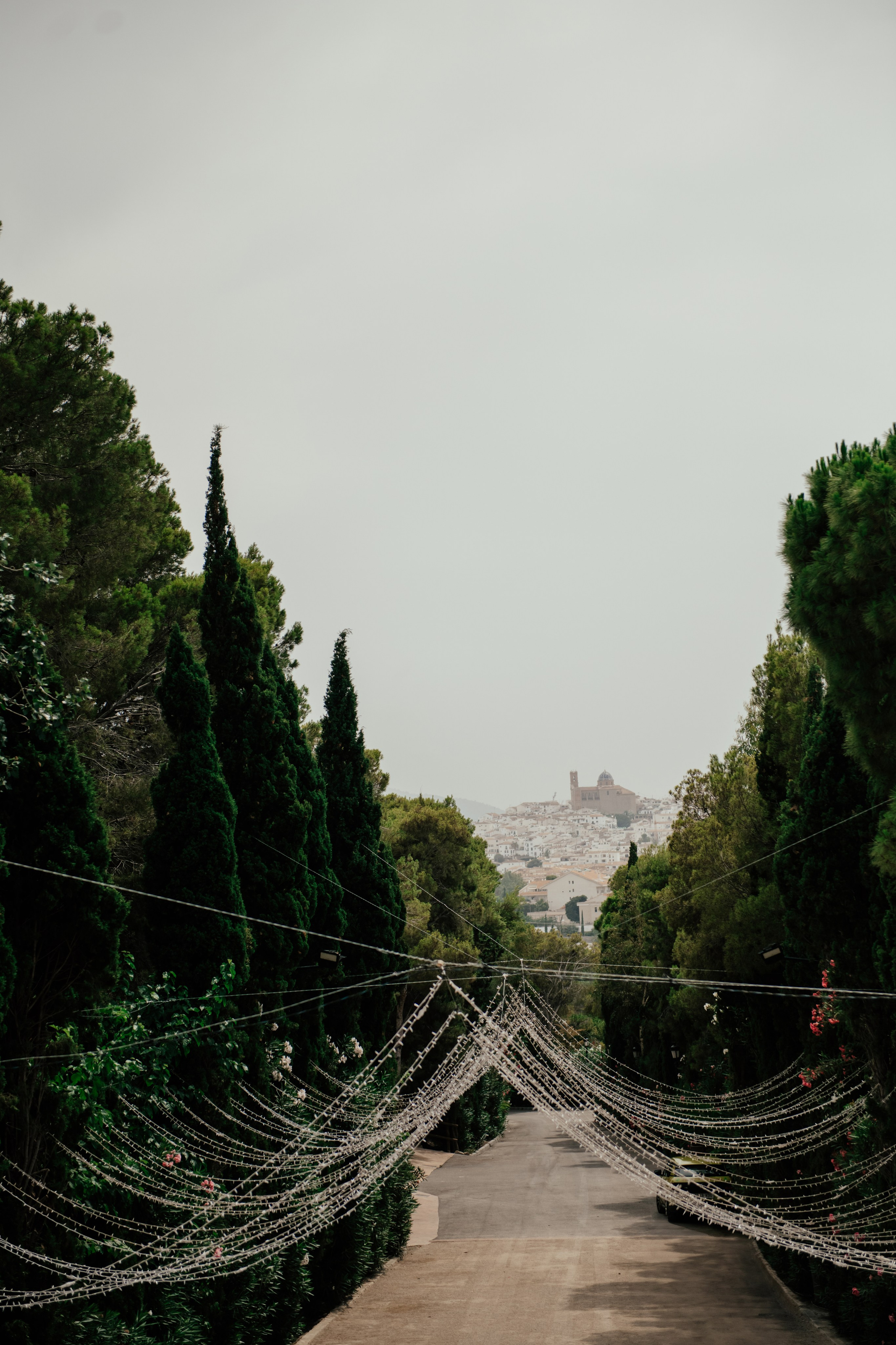 Alicia & Marc (Finca Marques de Montemolar)