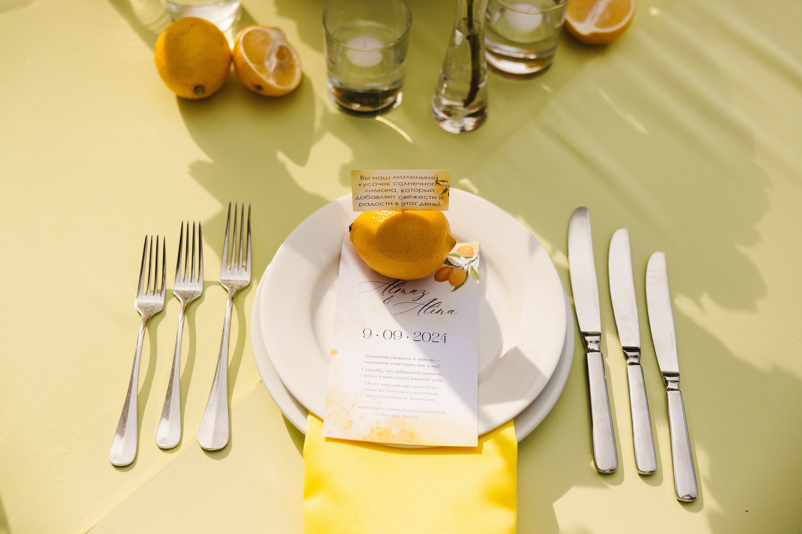 Алмаз и Алина. Азимжан Нуритдинходжаев — свадебный фотограф