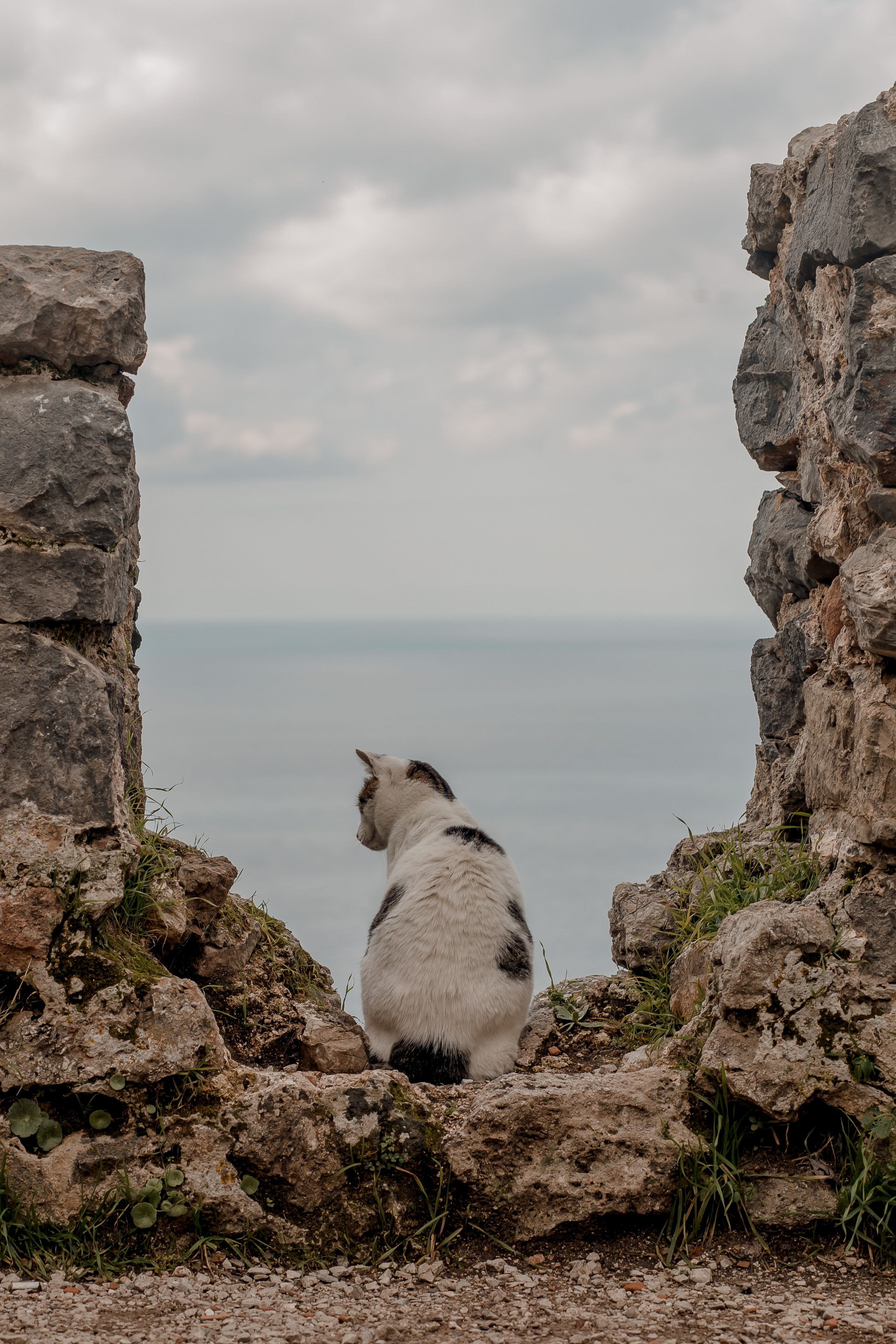 Turkey, Alanya. Art Photographer