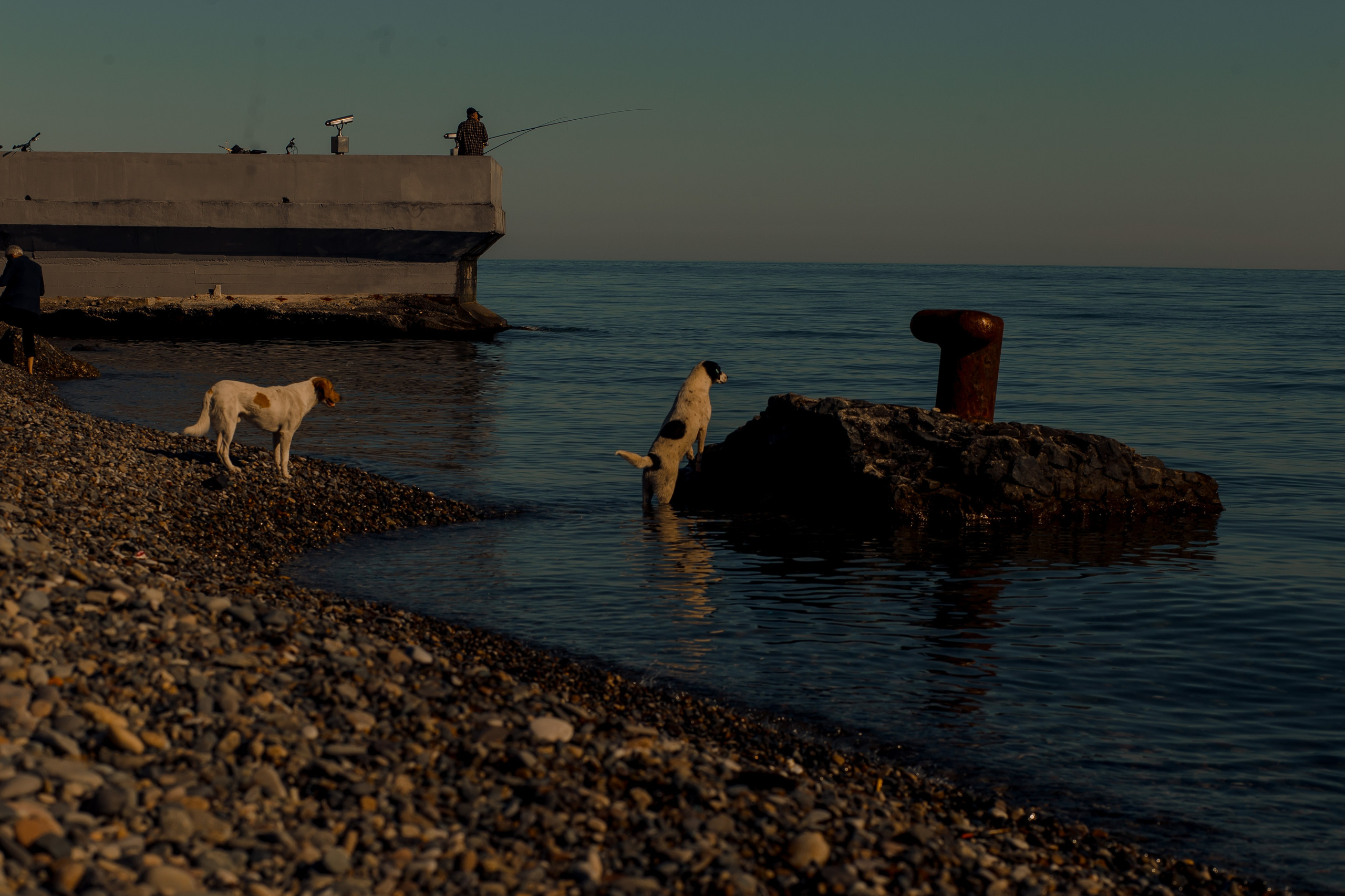 Georgia, Batumi. Art Photographer