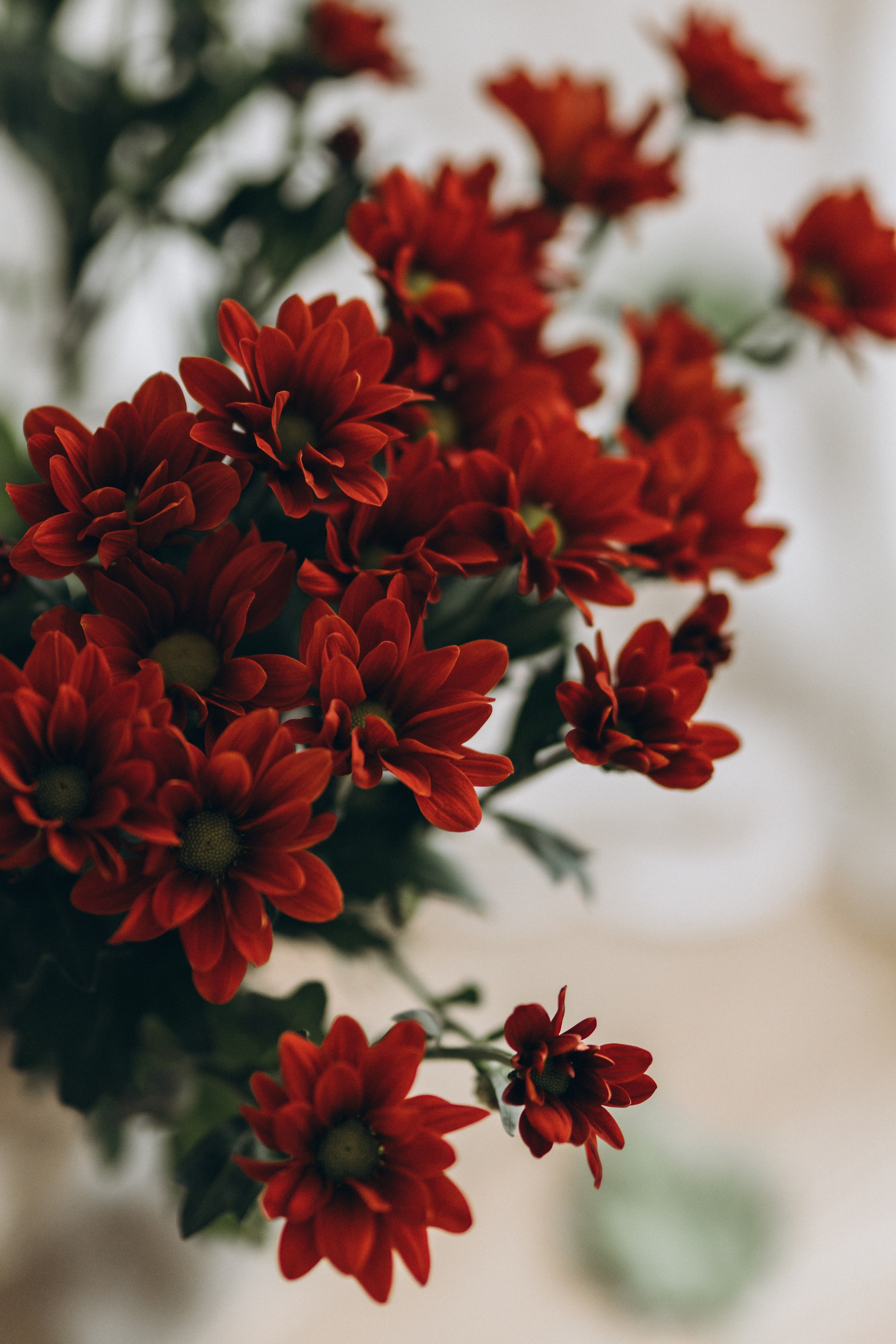 Olga. Wedding and potrait photographer in Helsinki Vickan O