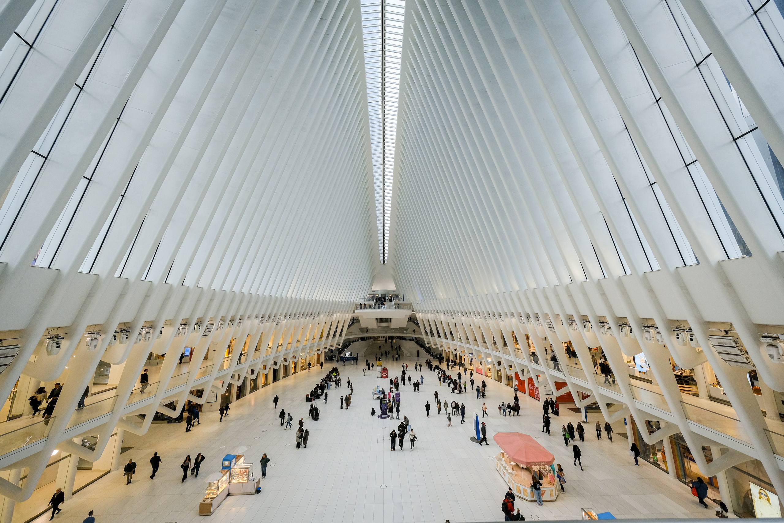 NEW YORK / 2025. Reportage concert portrait photography in the San Francisco Bay Area