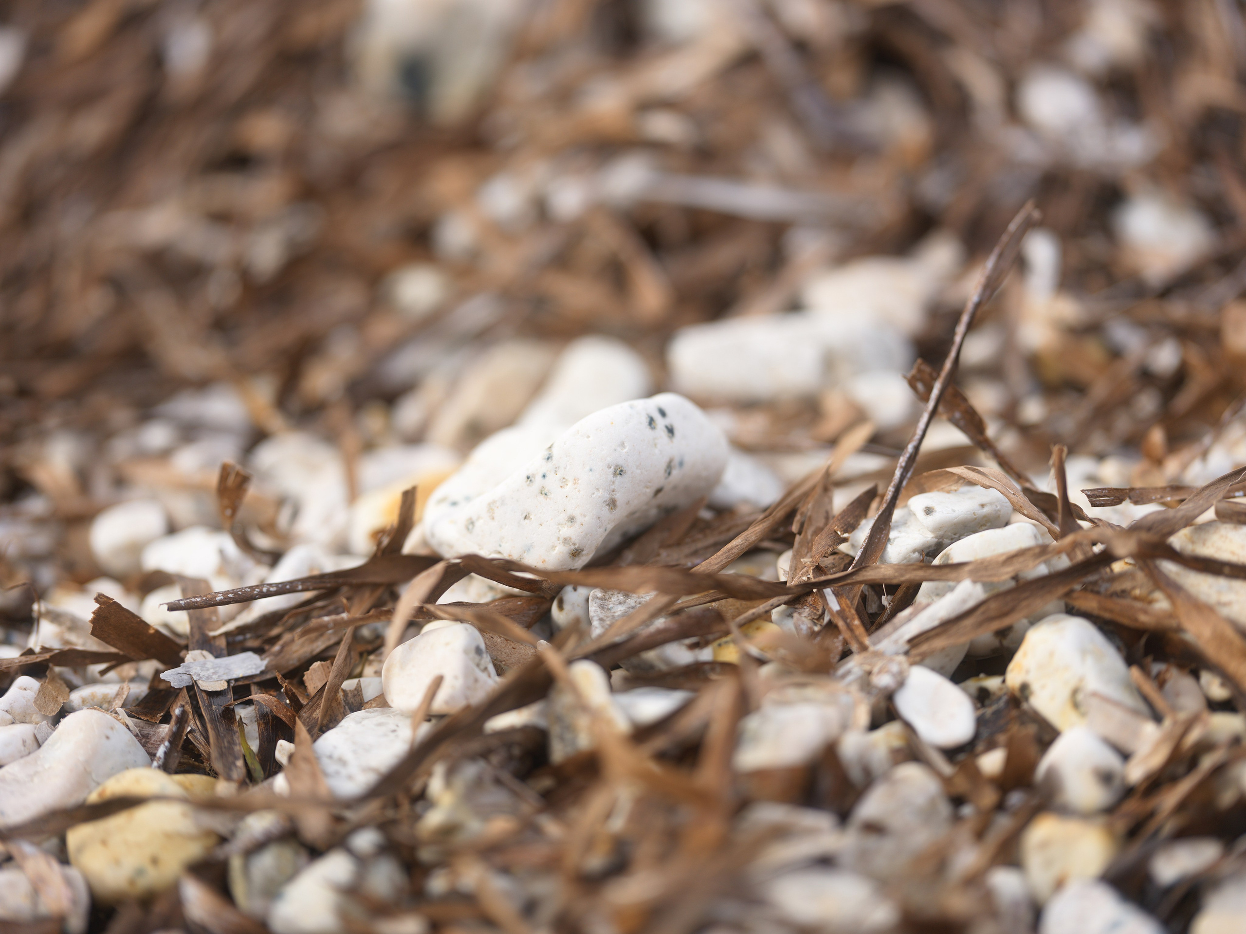 Travel. Vitali Beidel - Stuttgart Visual artist und Fotograf