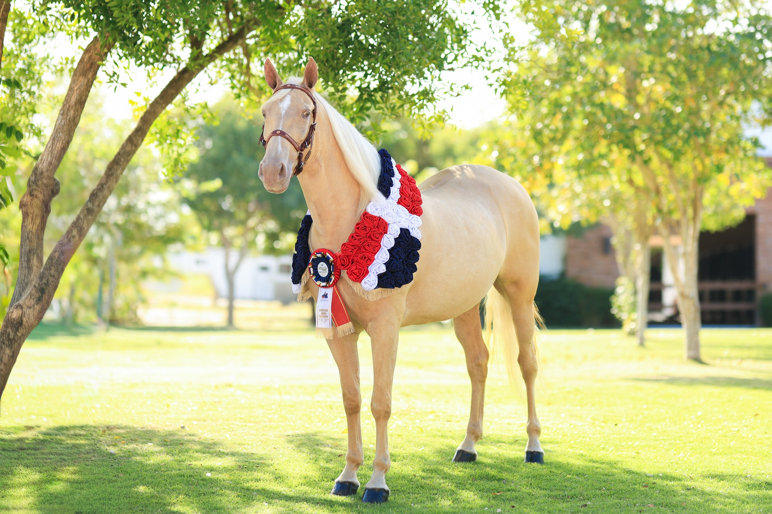 Criadero AC - Documental. VisualAvalon