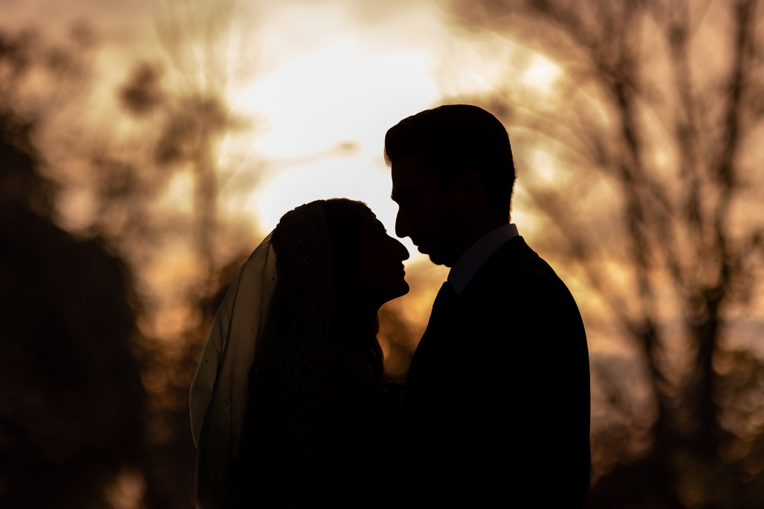 Portfolio. Chaar Bhai — Your Personal Family Historians