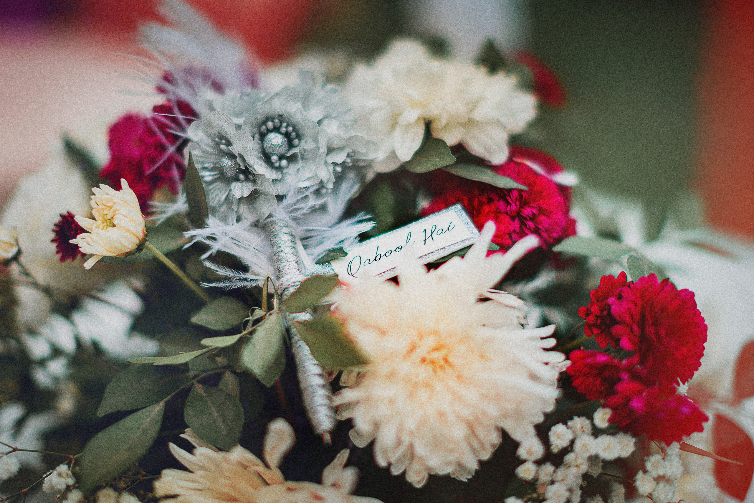 Portfolio. Chaar Bhai — Your Personal Family Historians