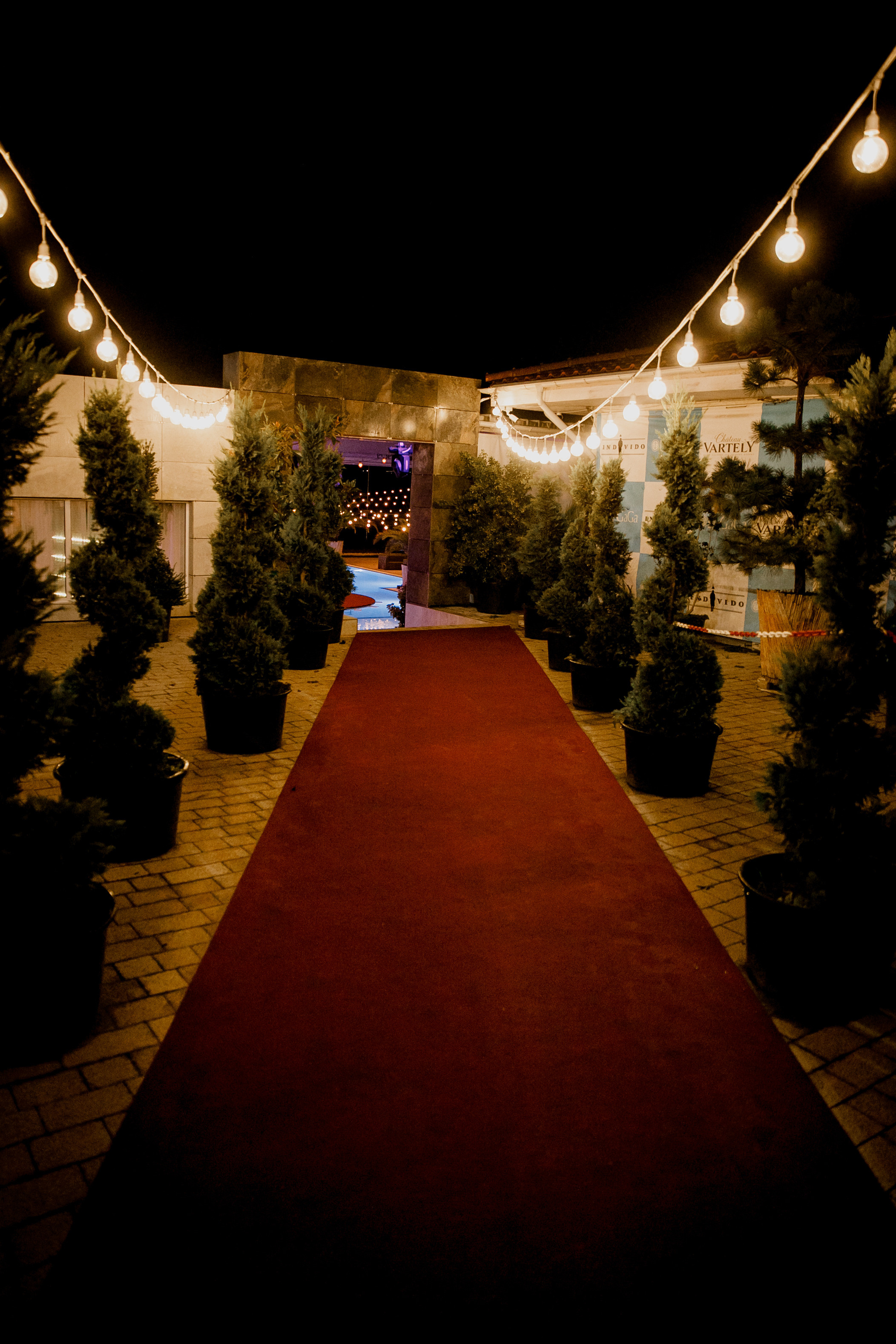 Romania Andrei&Gina Wedding Day. Iurkovski PHOTOGRAPHY in Europe. Luxury destination weddings and events