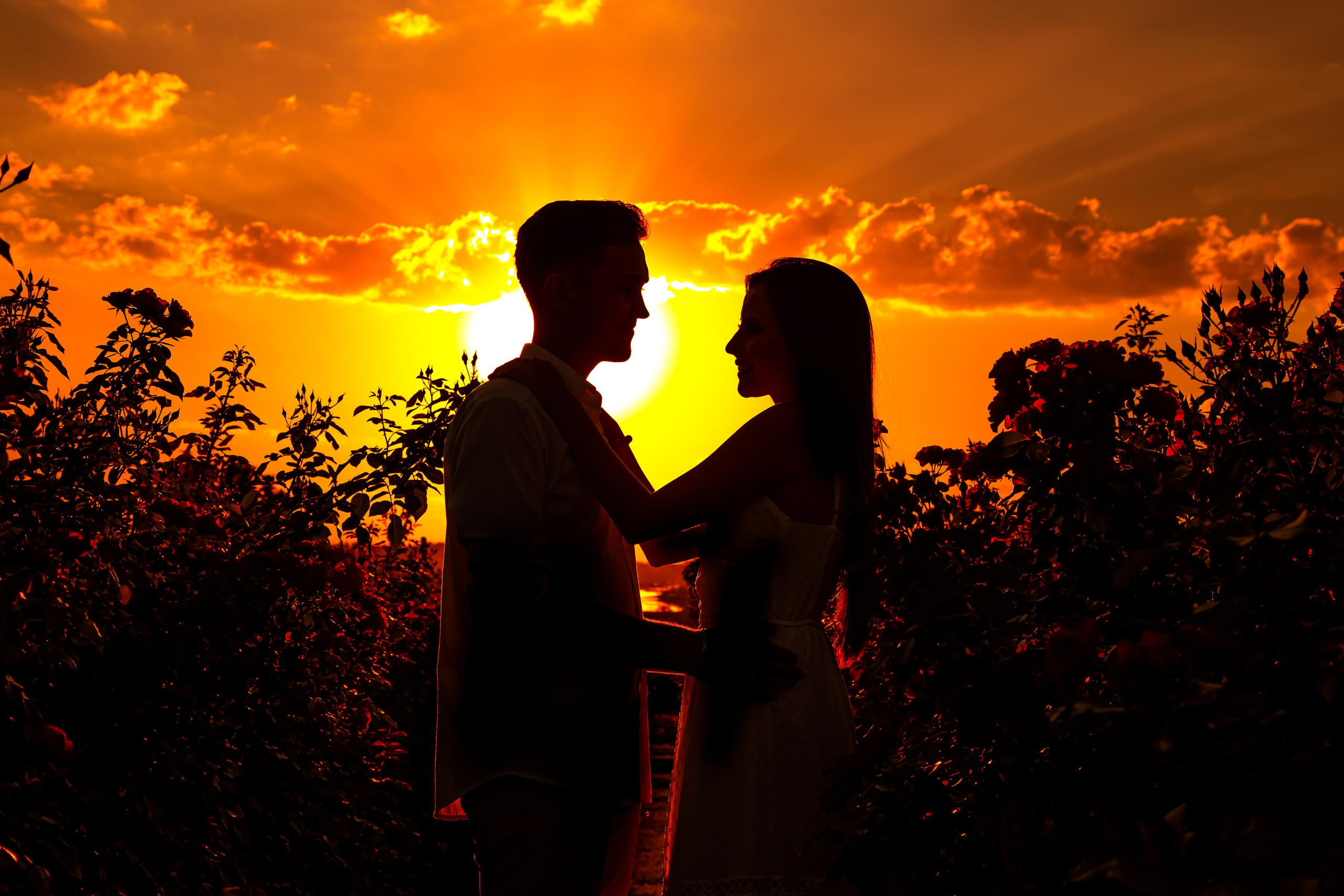 Ensaio Holambra. Tela cheia