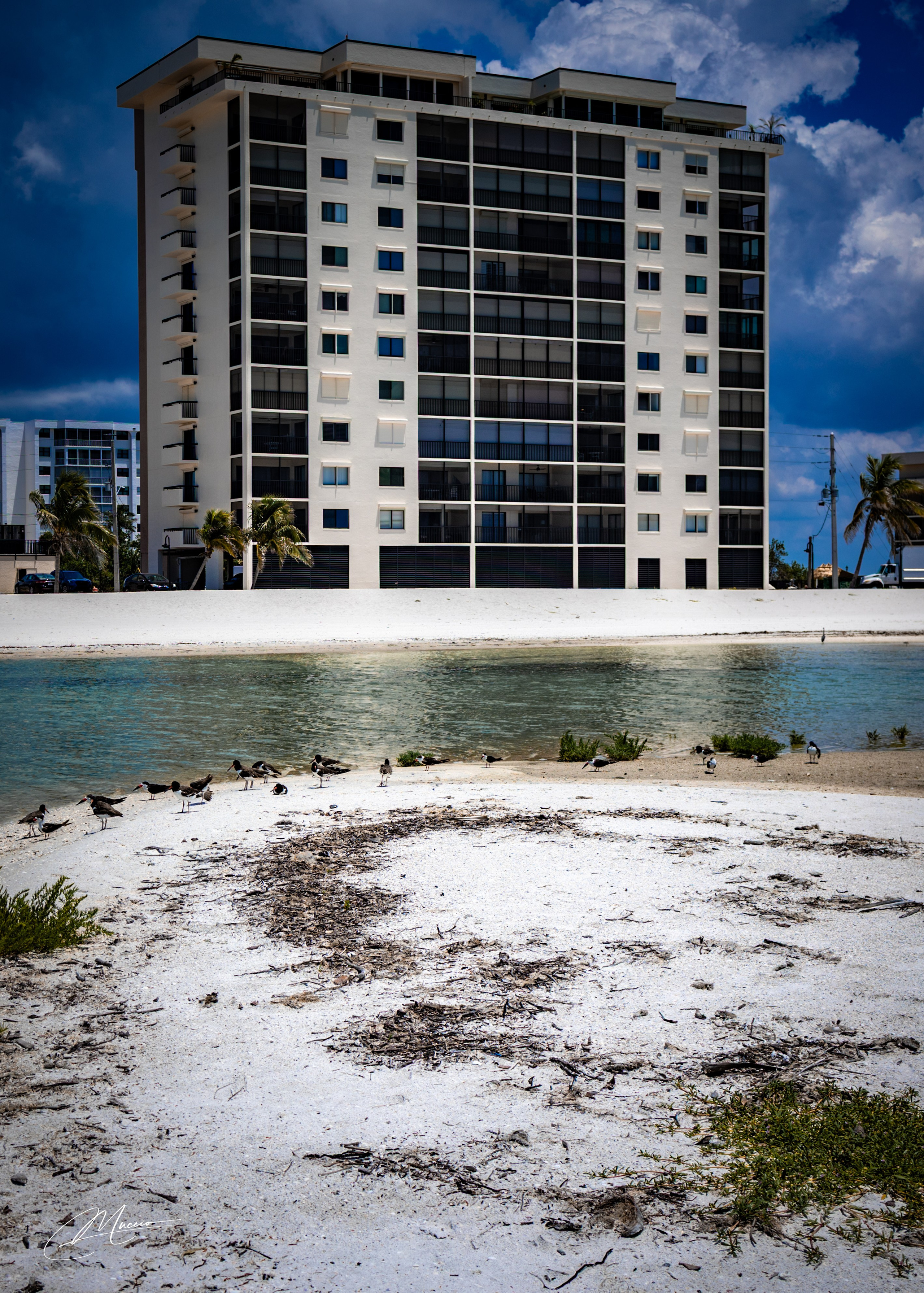 Fort Myers. Out and About 239