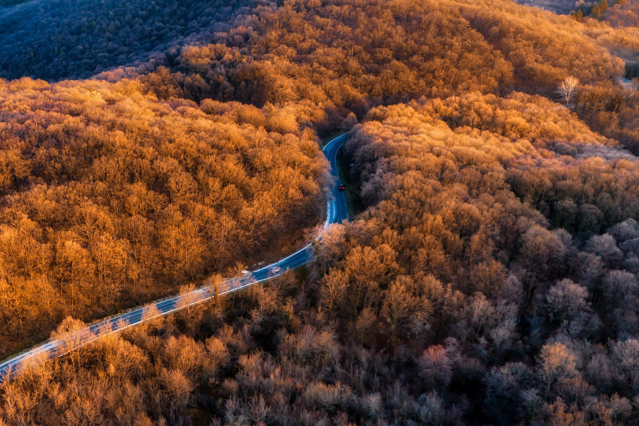 Landscape photography. Wedding photography