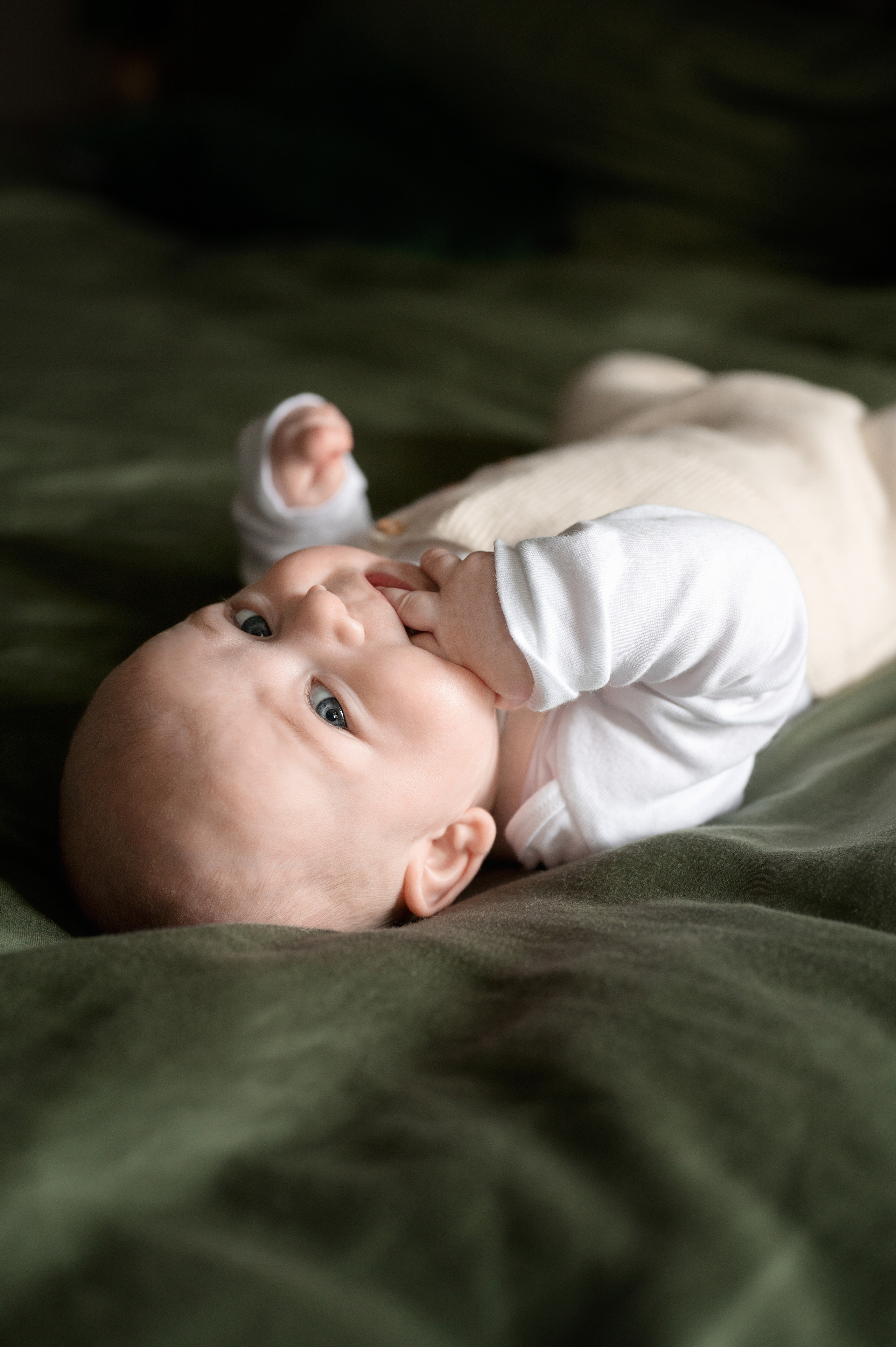 Familienfotografie. Tierfotografie und Familienfotografie in der Hallertau