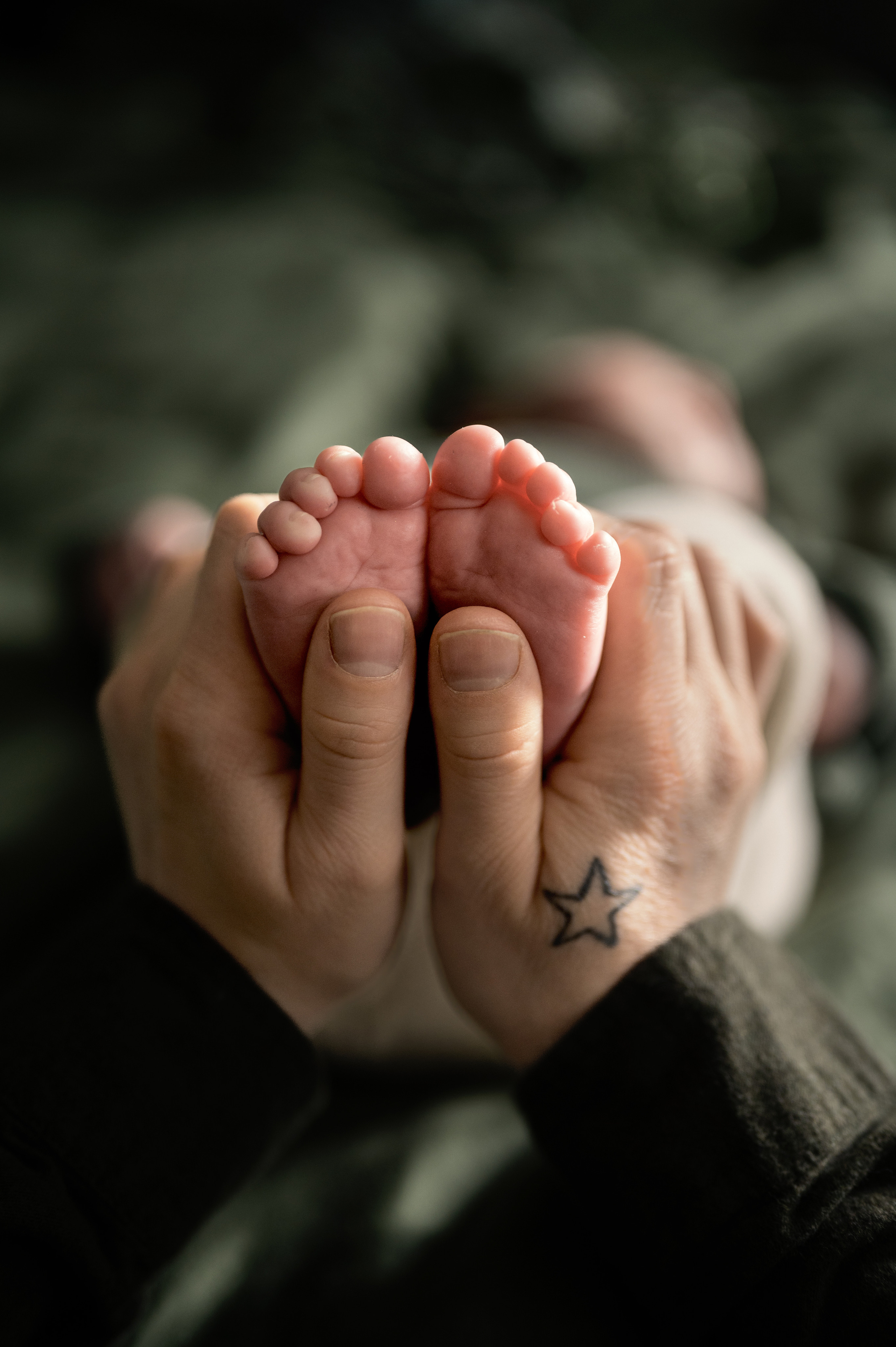 Familienfotografie. Tierfotografie und Familienfotografie in der Hallertau