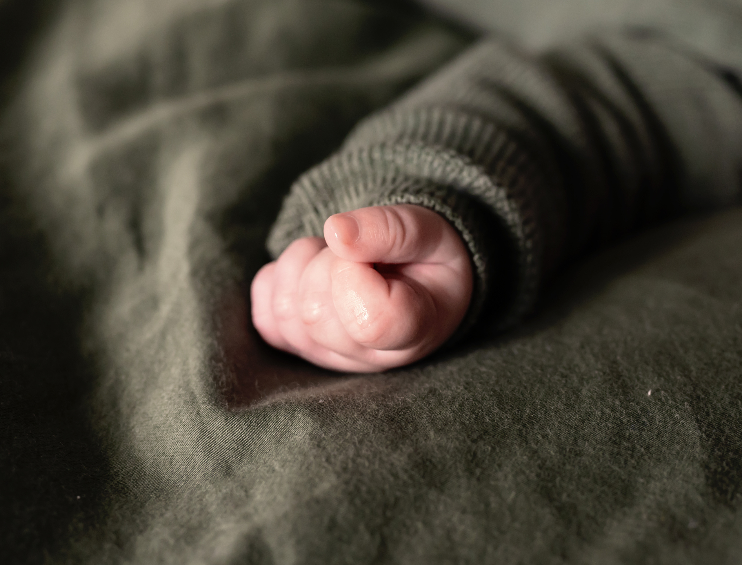 Familienfotografie. Tierfotografie und Familienfotografie in der Hallertau