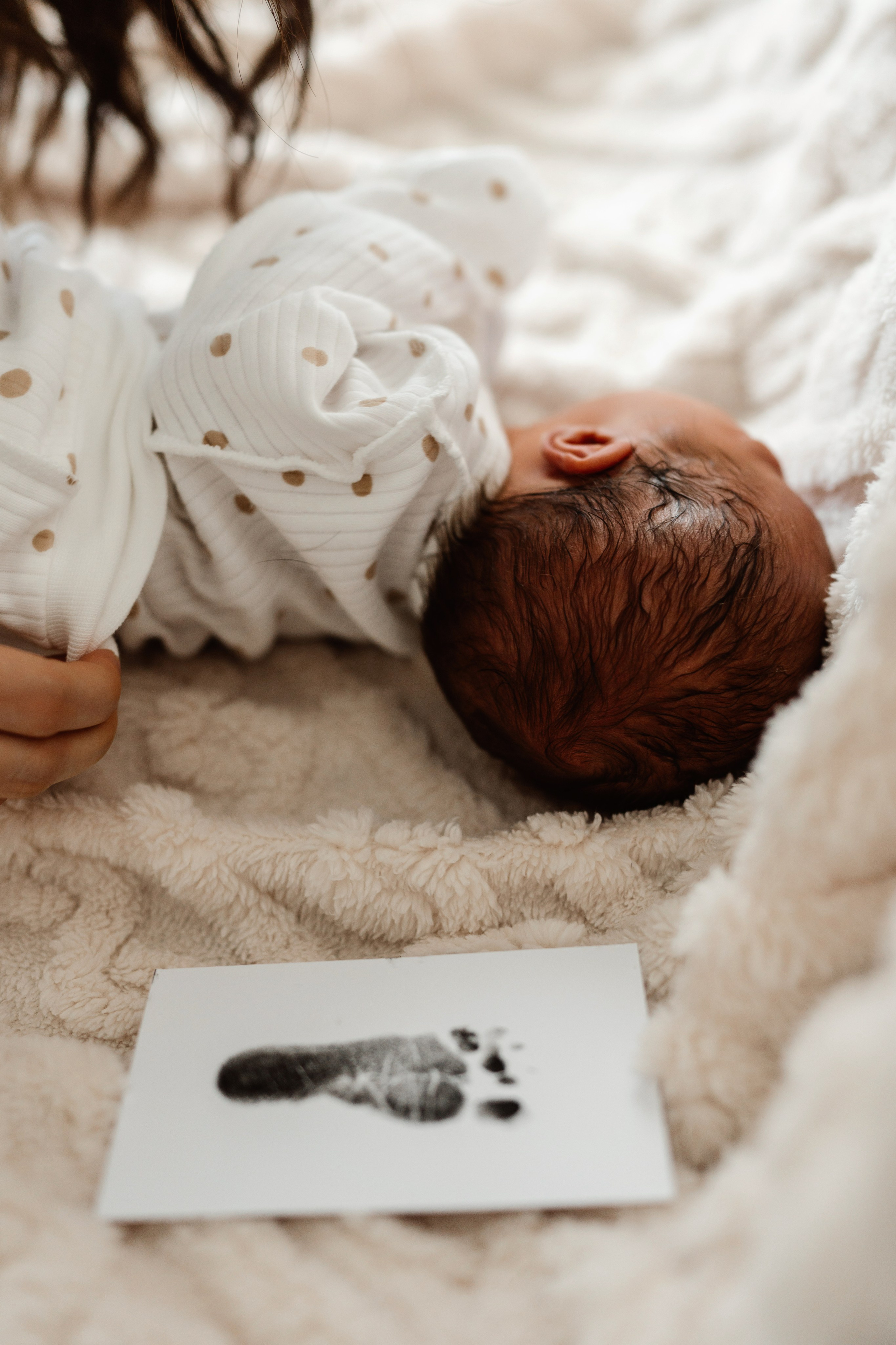 Vaniușa | primele zile de viață. Home