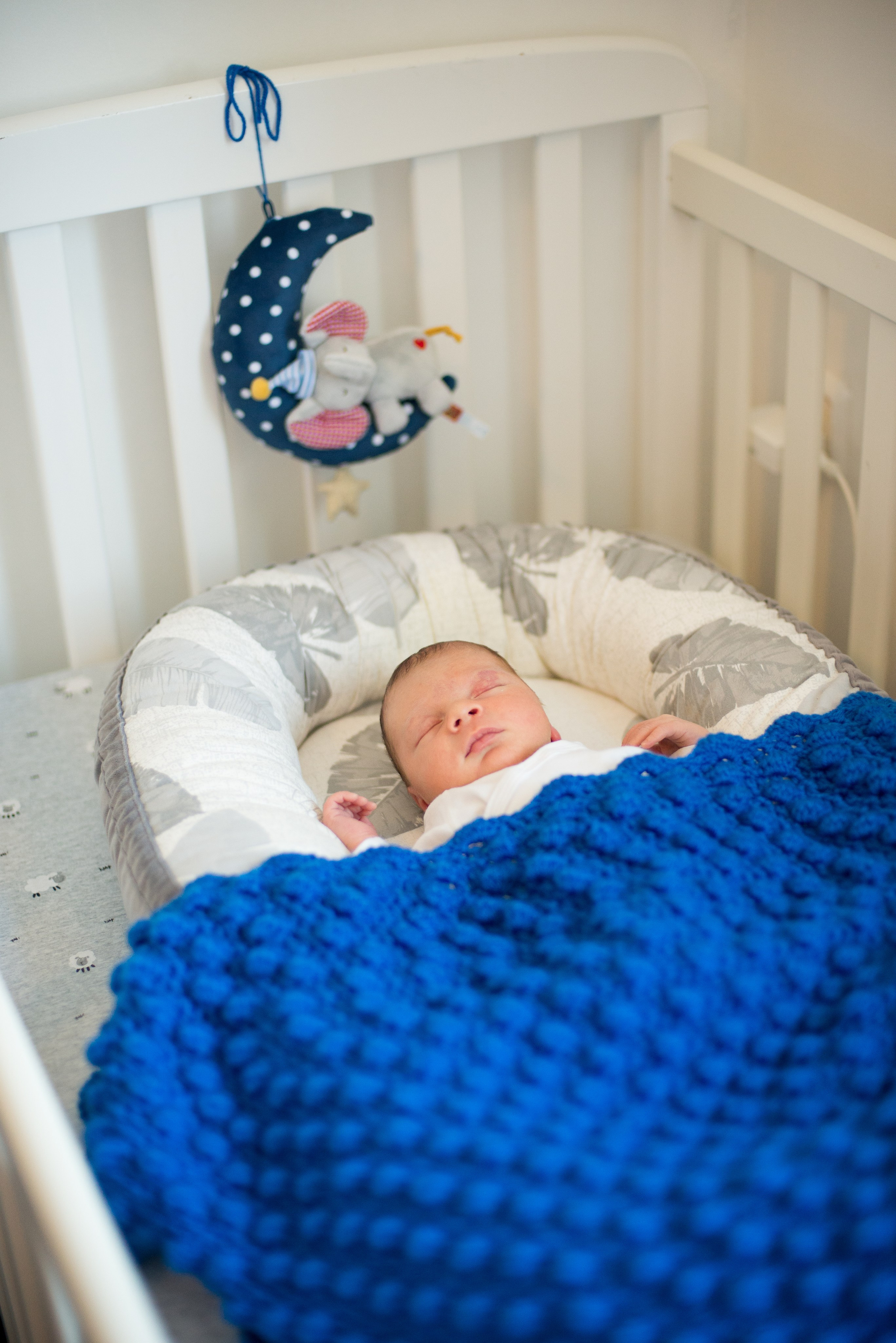 Семья Ильи и Мелани. Визуальный брендинг