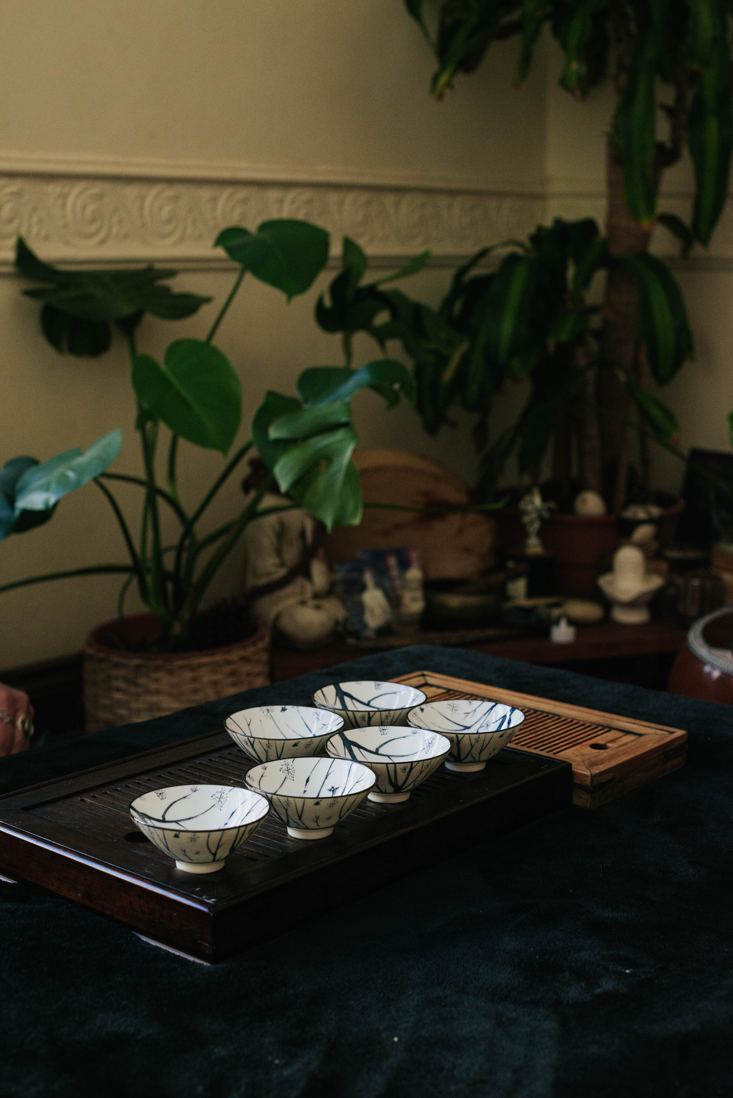 Нешкольное чаепитие. Фотограф @elmirkami в городе Буэнос-Айрес