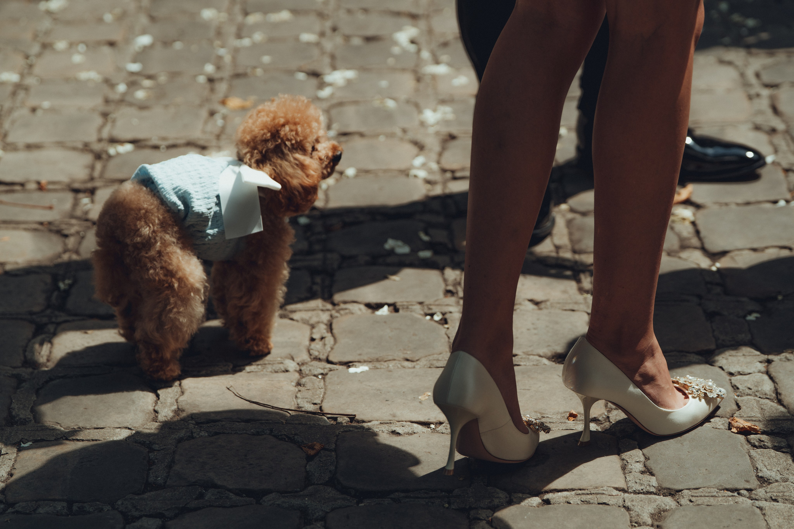 Свадьбы. Dani's eyes