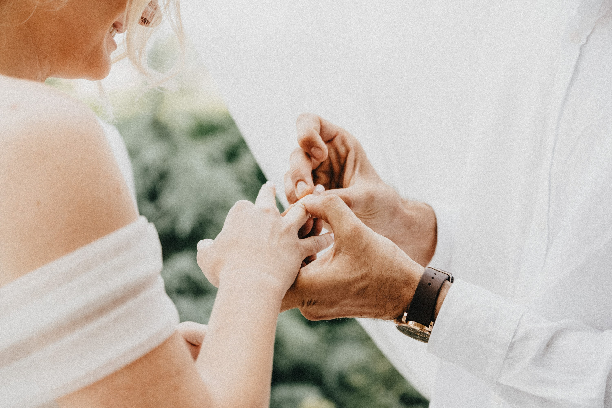 Wedding photography. Wedding photography