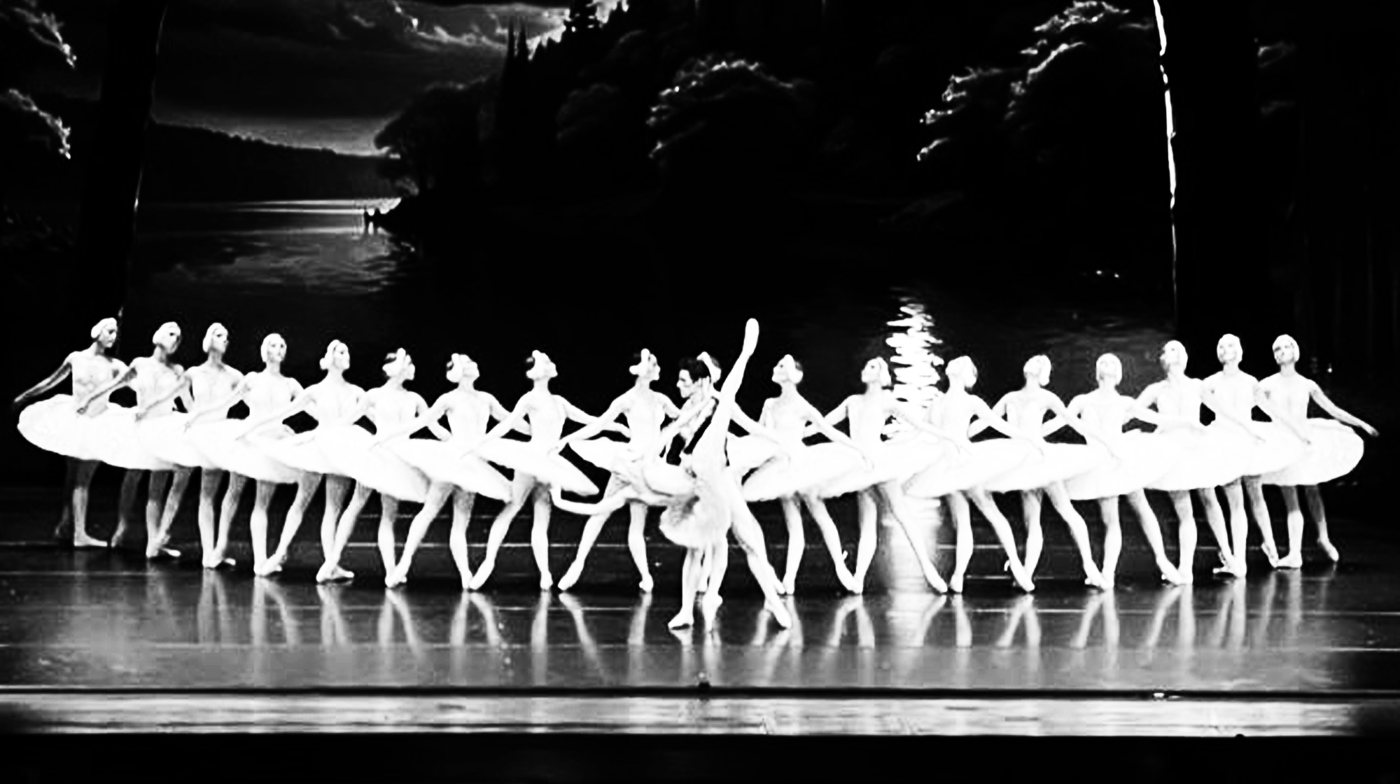 Старая # ABOUT US. CREATIVE SHELL BANGKOK