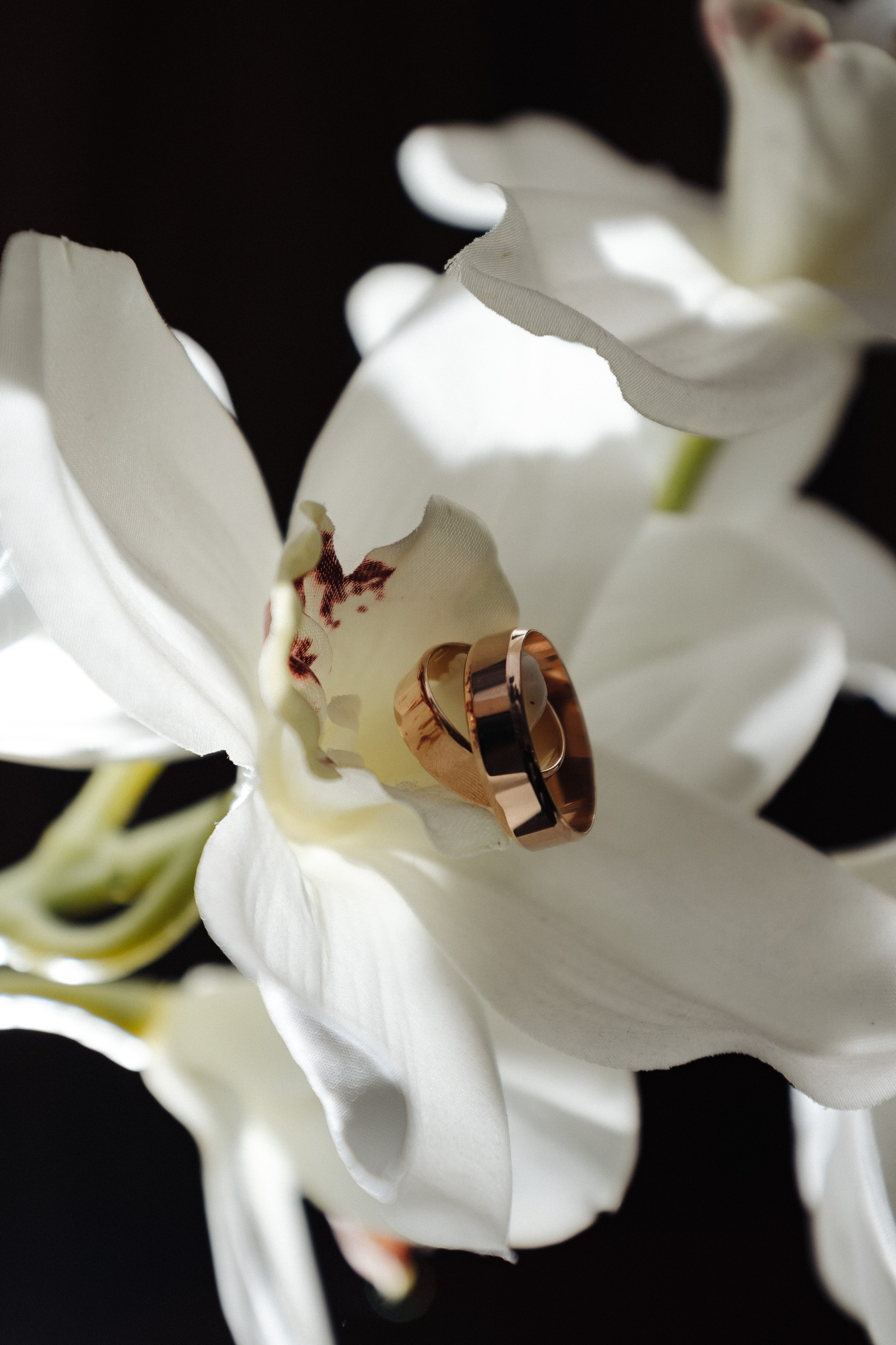 Piotr i Roksolana. Karina Czernecka Foto