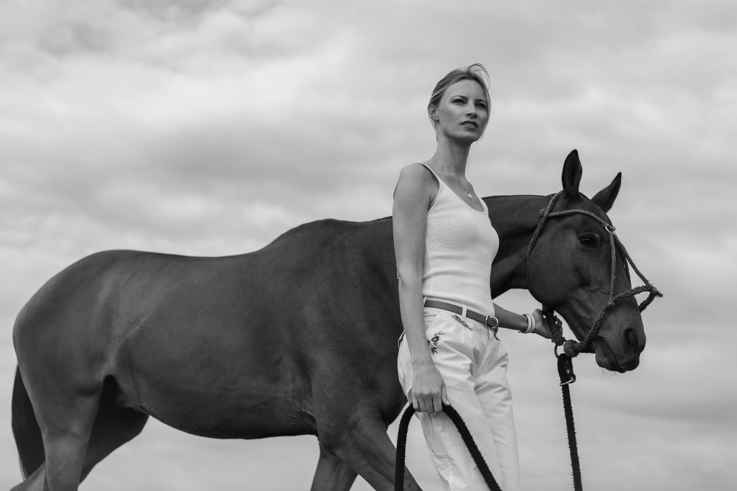 Photo shoot with horses