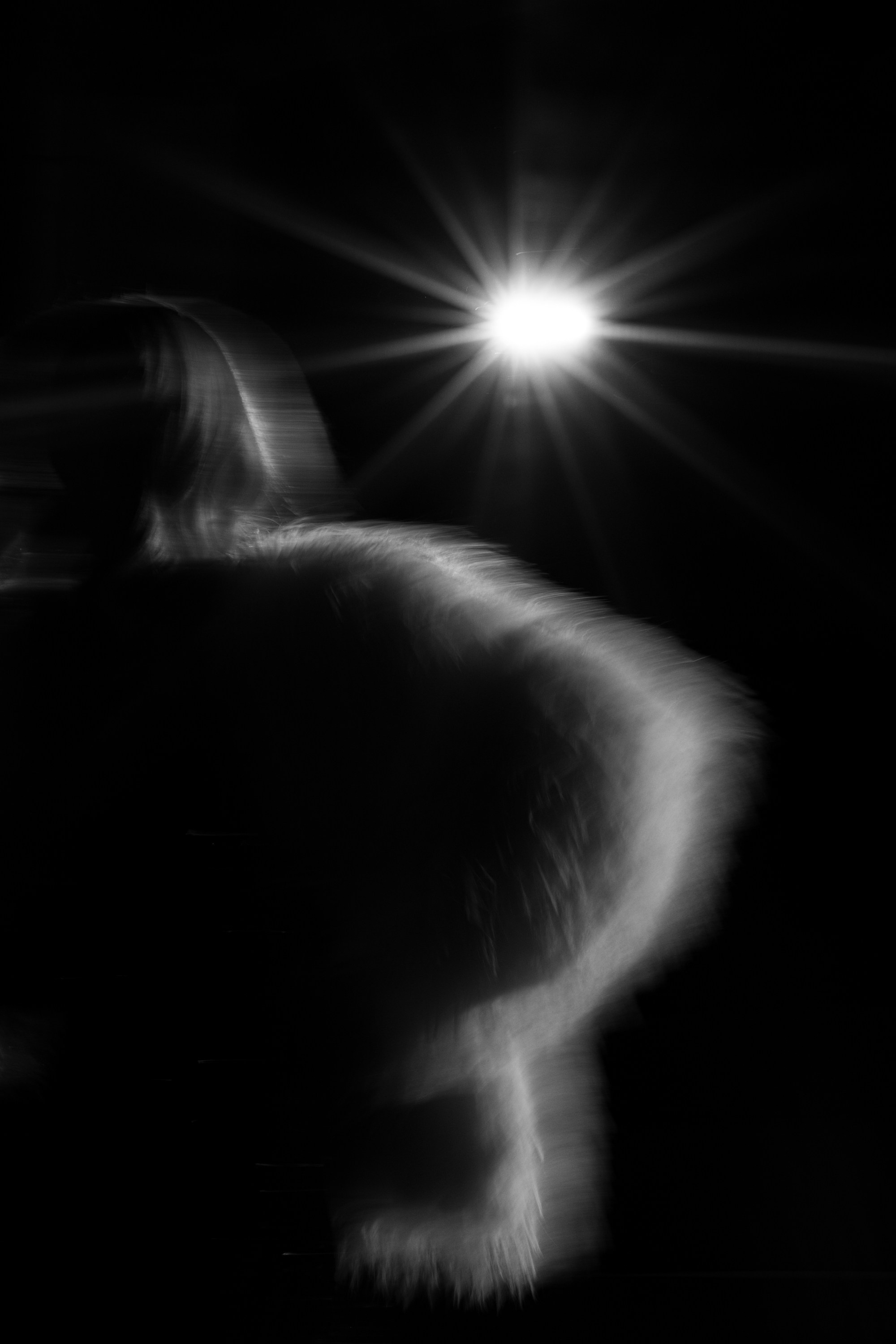 People through my eyes. Geany Cazan