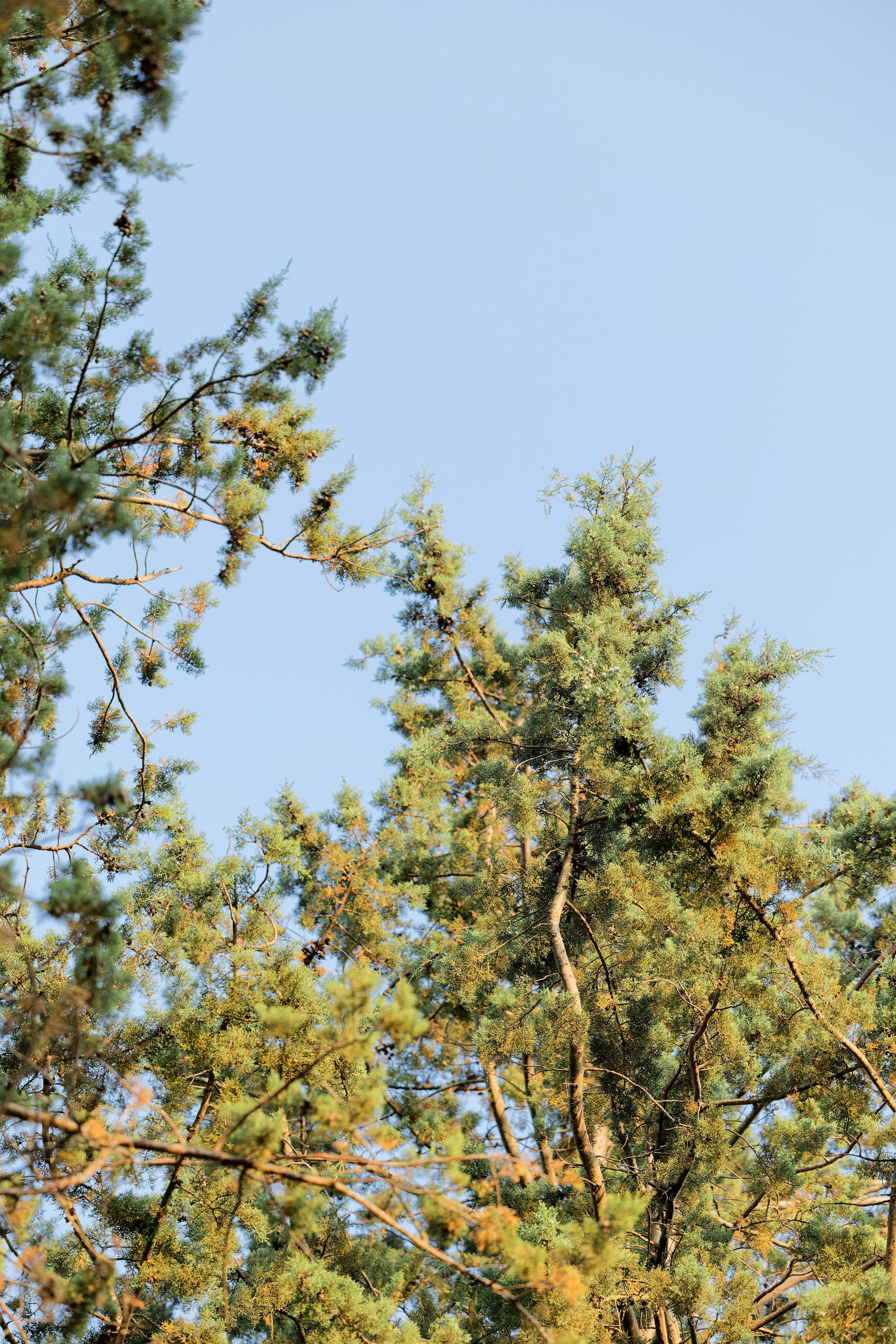 Wedding at Borgo Bastia Creti, Umbria